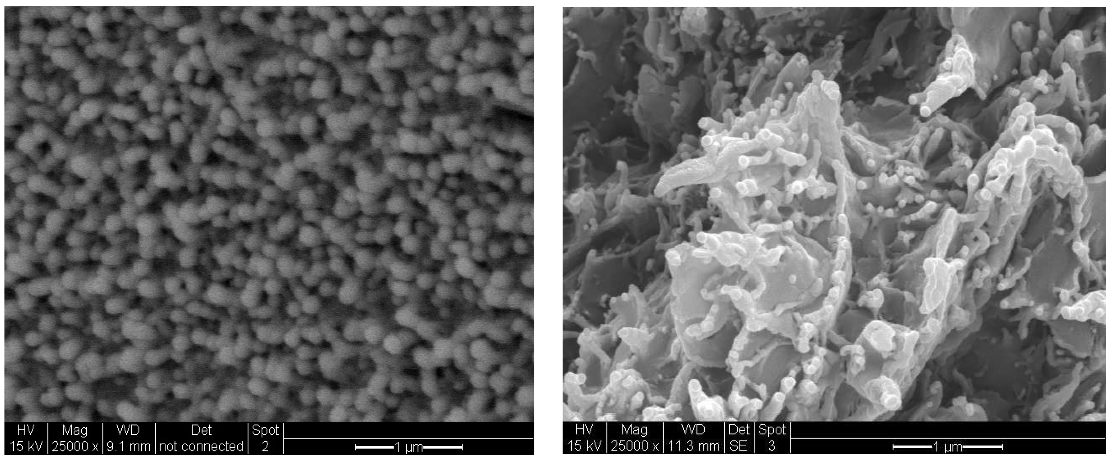 Polymers 15 04427 g015