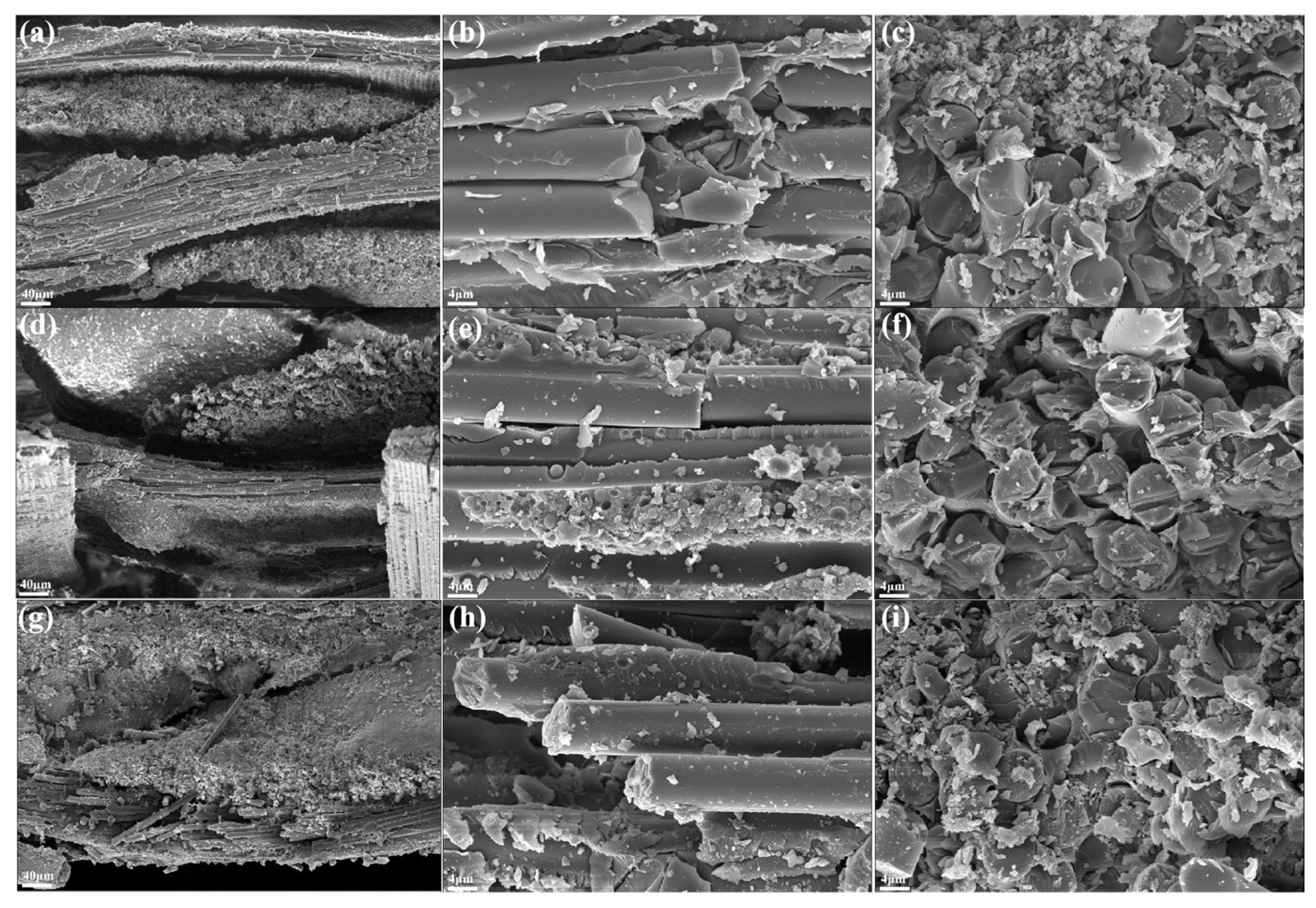 Polymers 15 04430 g010
