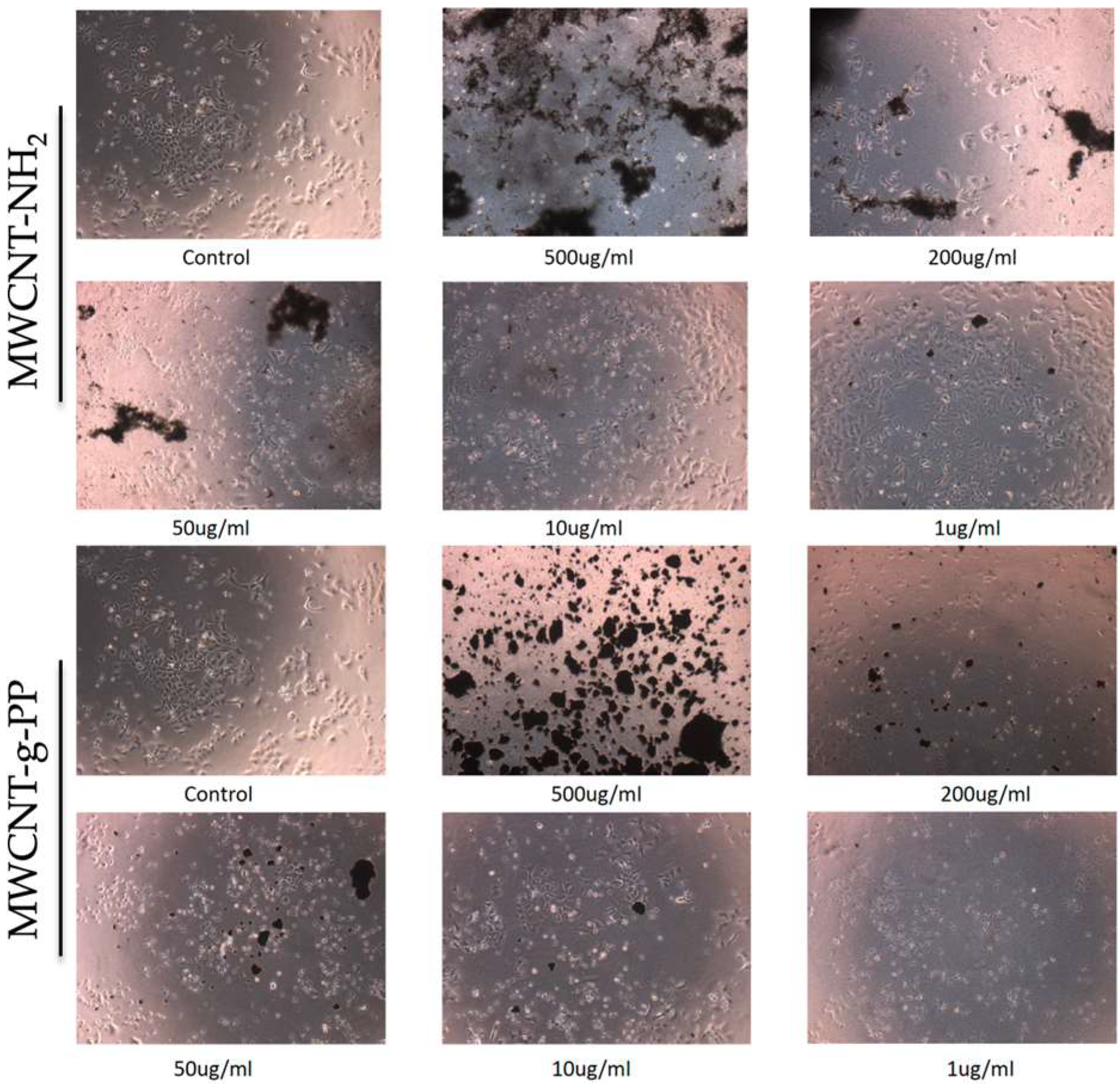 Polymers 15 04432 g006