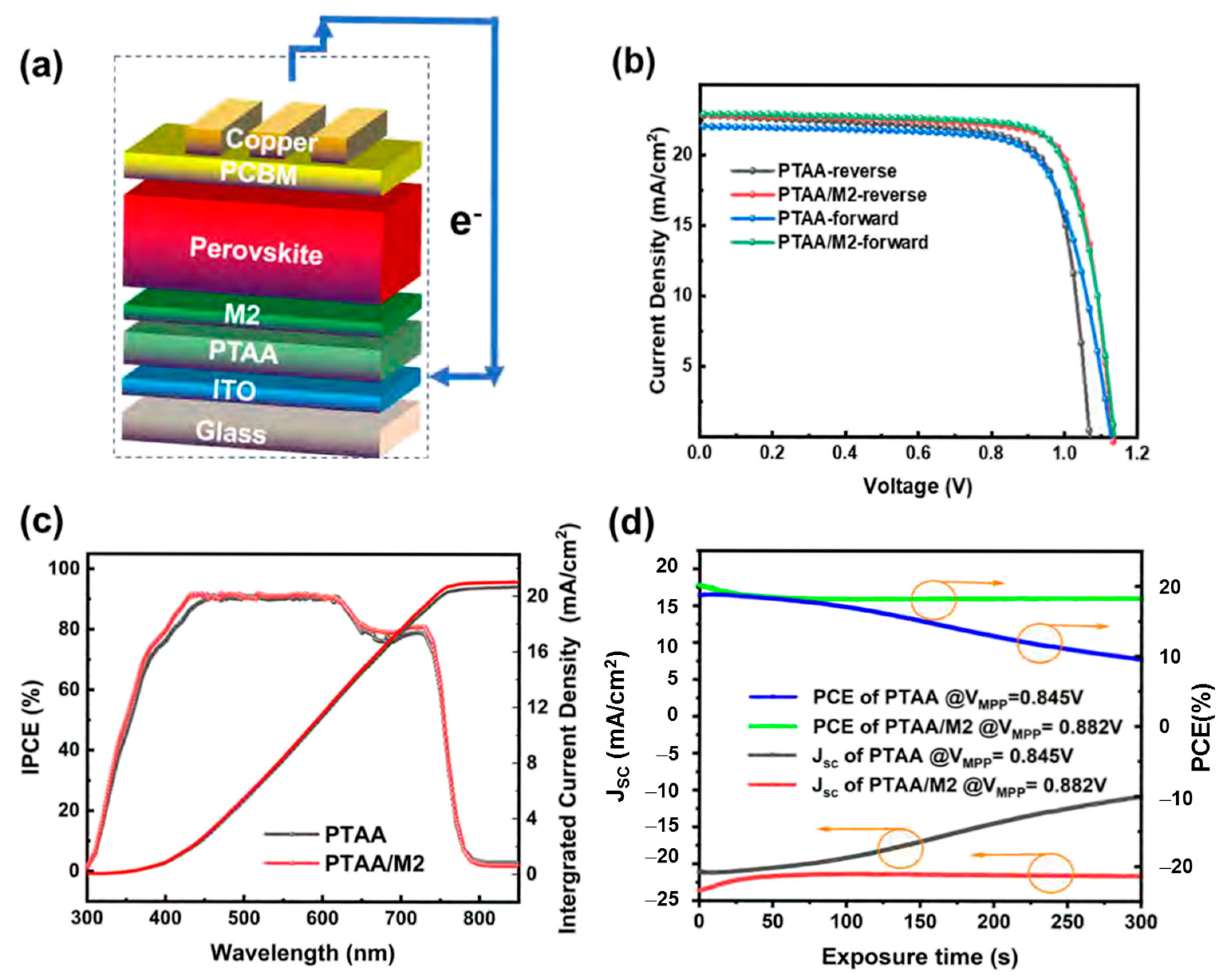 Polymers 15 04443 g004