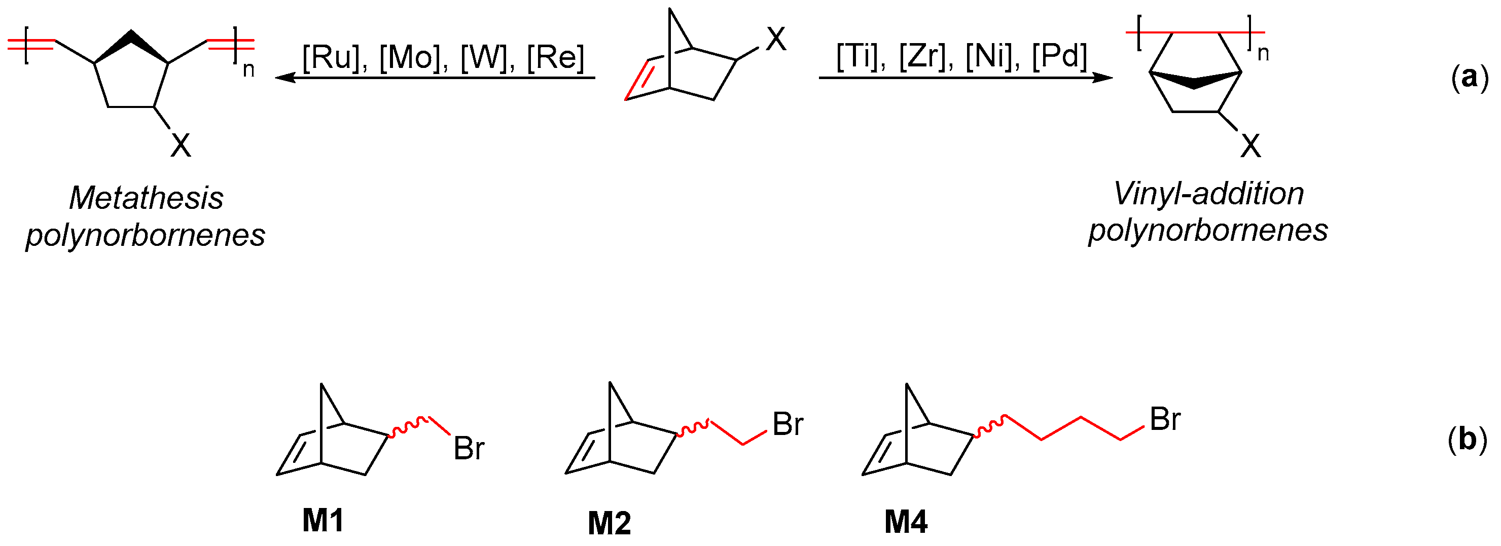 Polymers 15 04444 g002