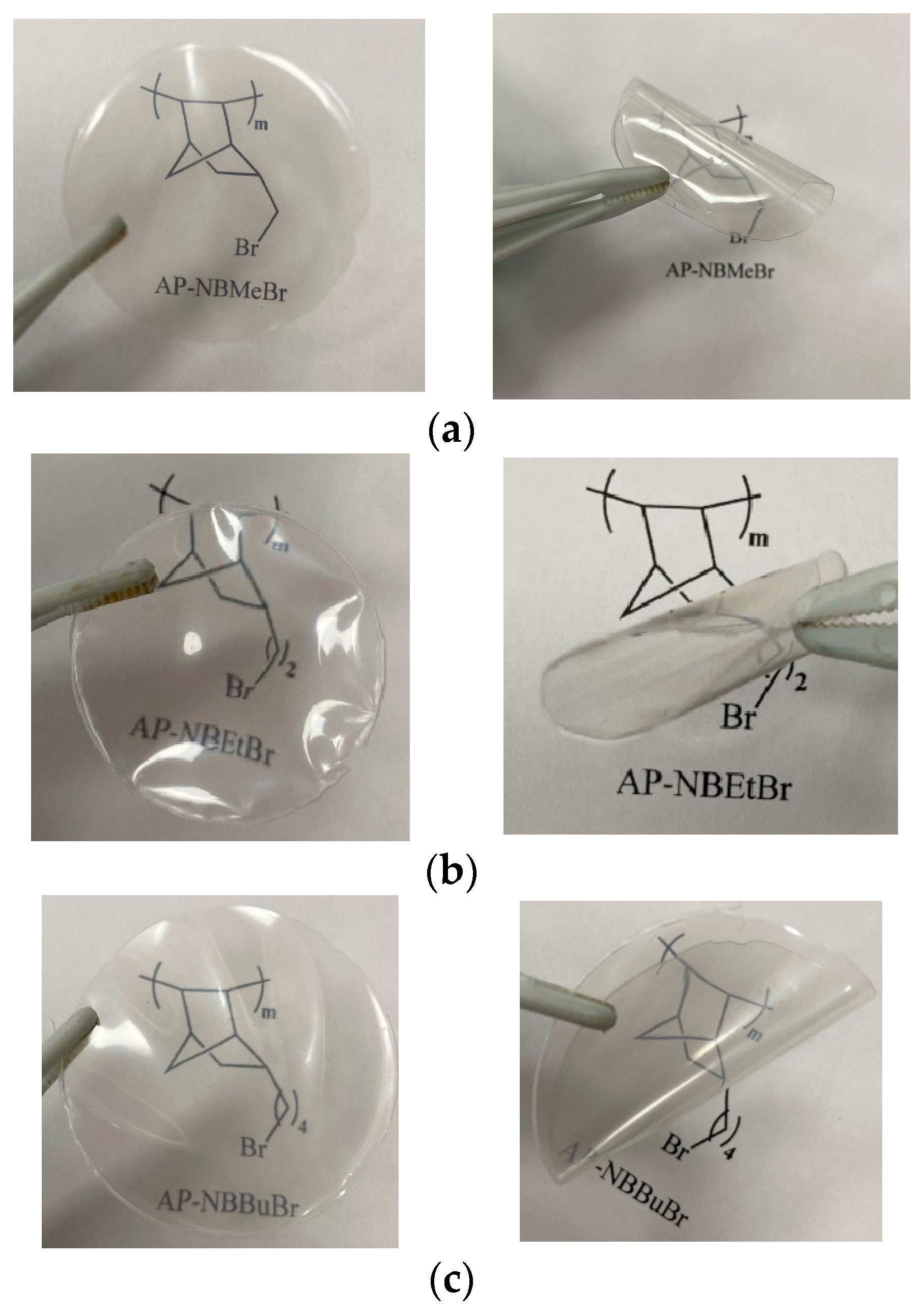 Polymers 15 04444 g007
