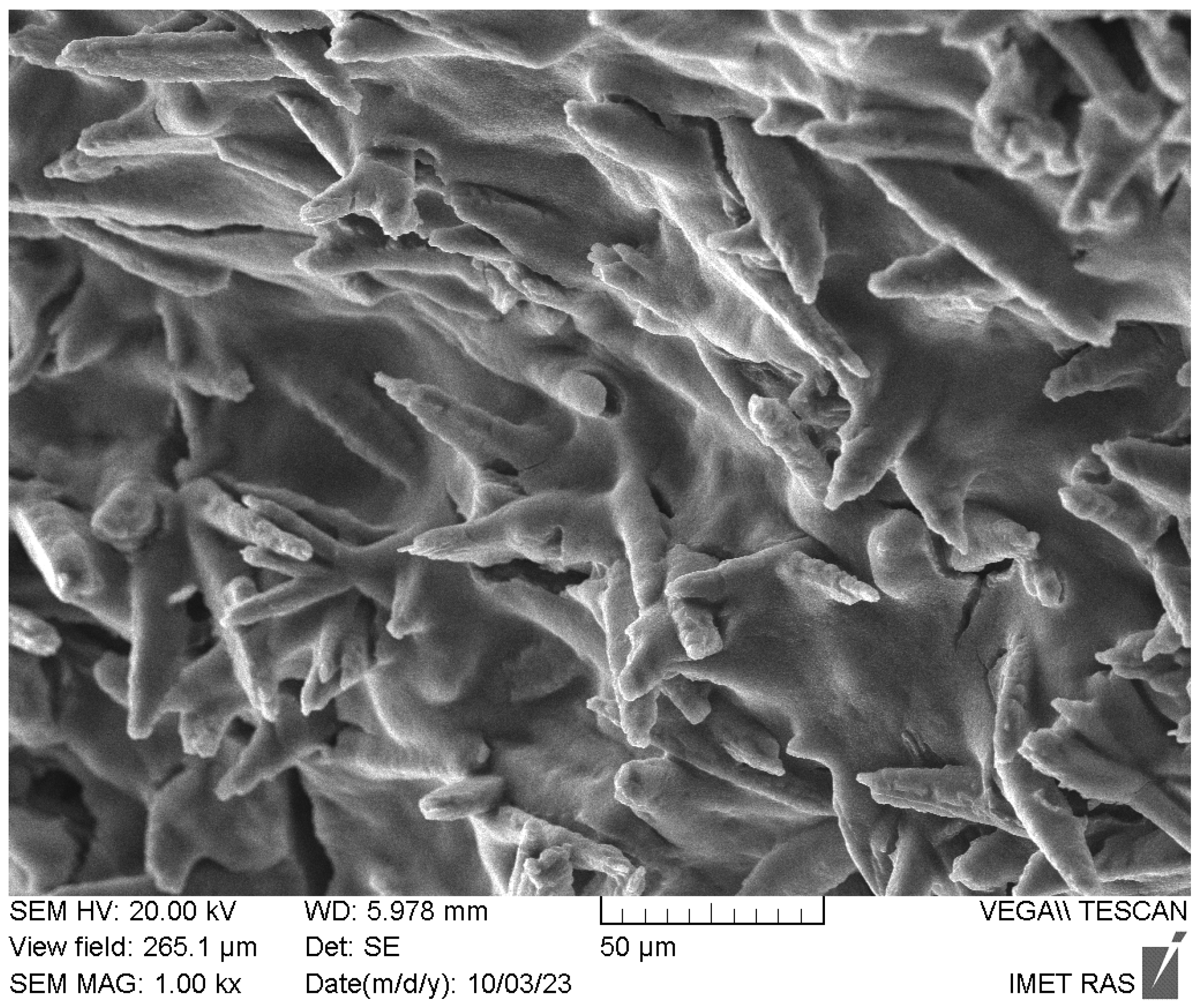 Polymers 15 04445 g003