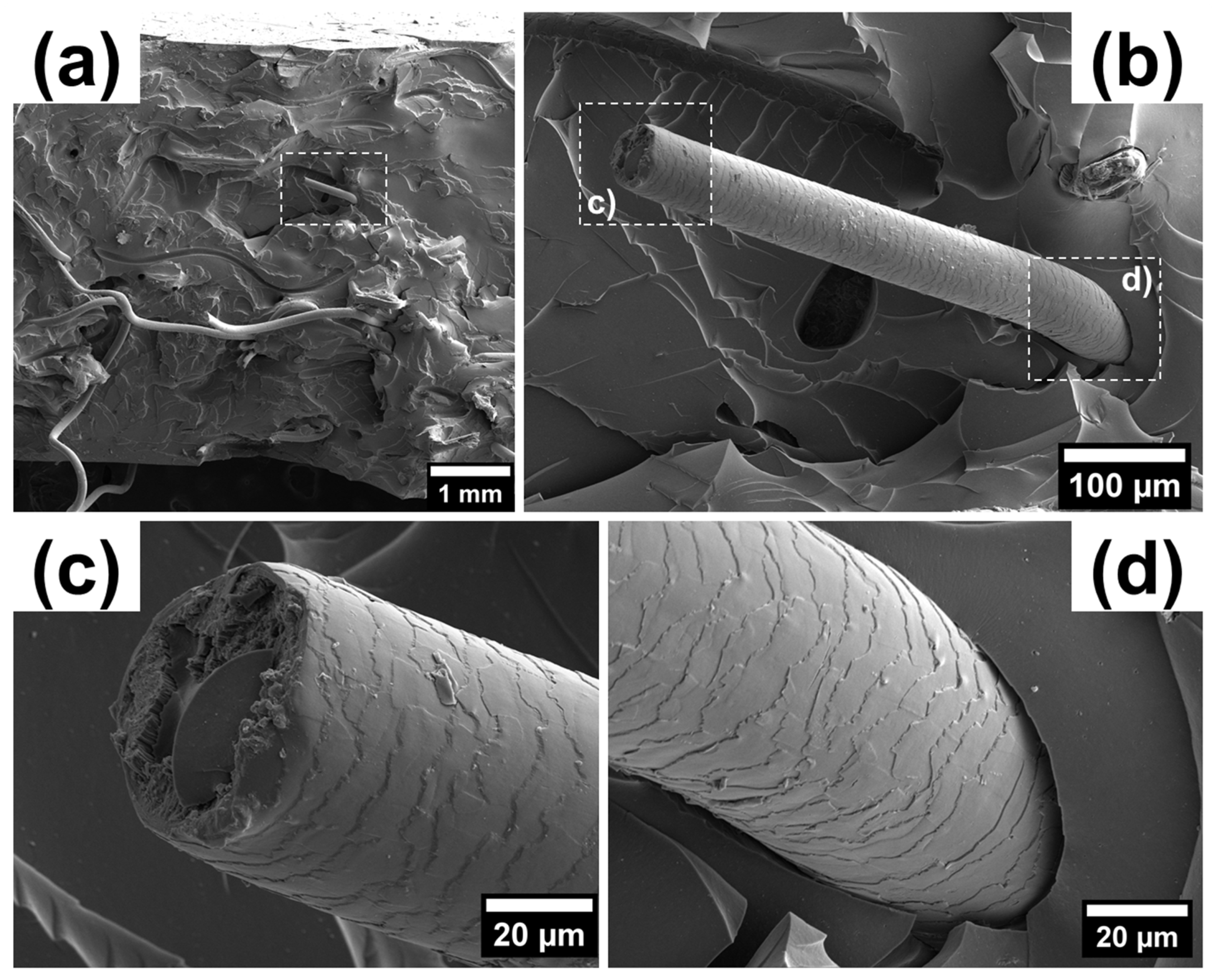 Polymers 15 04448 g004