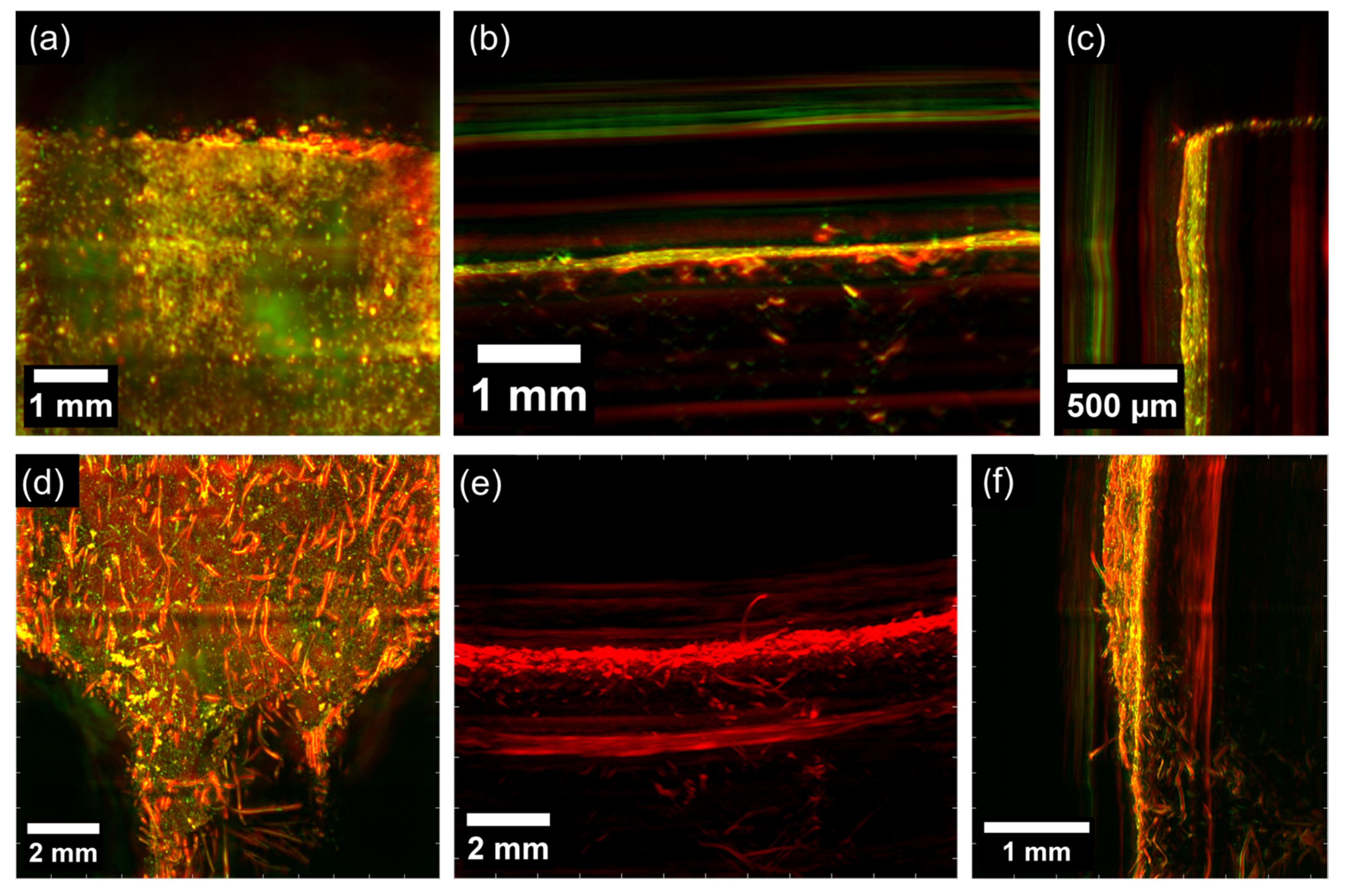 Polymers 15 04448 g011
