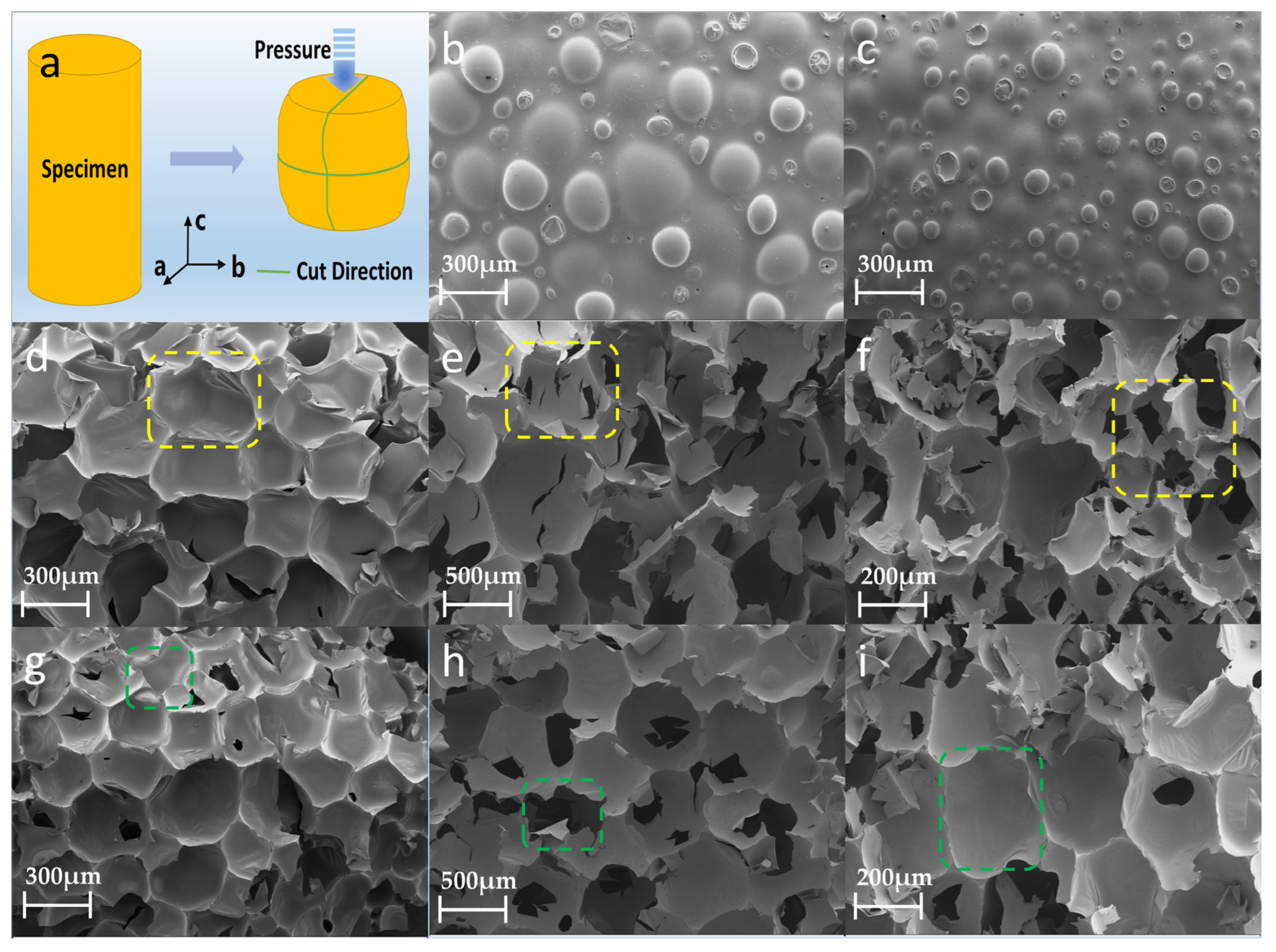 Polymers 15 04449 g002