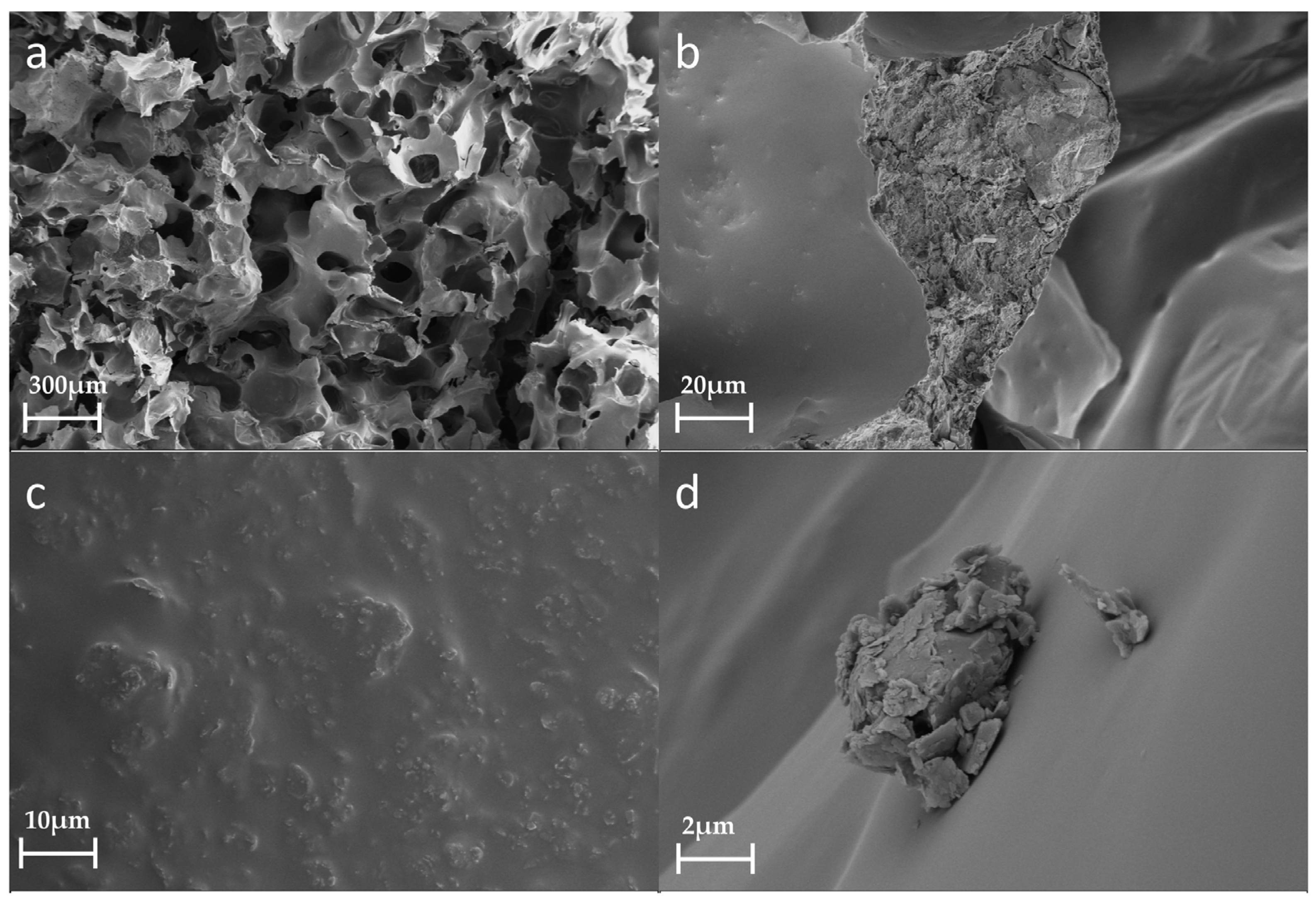Polymers 15 04449 g006