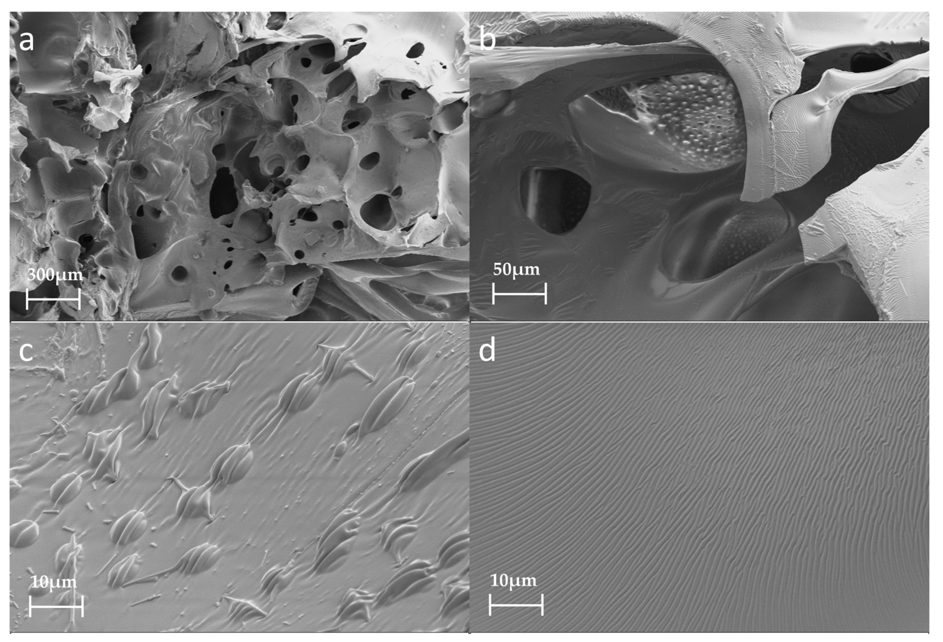 Polymers 15 04449 g008