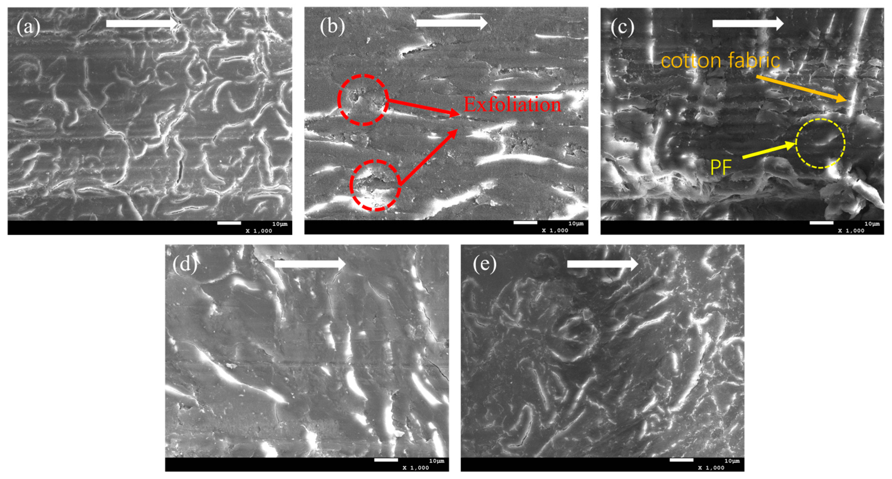 Polymers 15 04454 g007