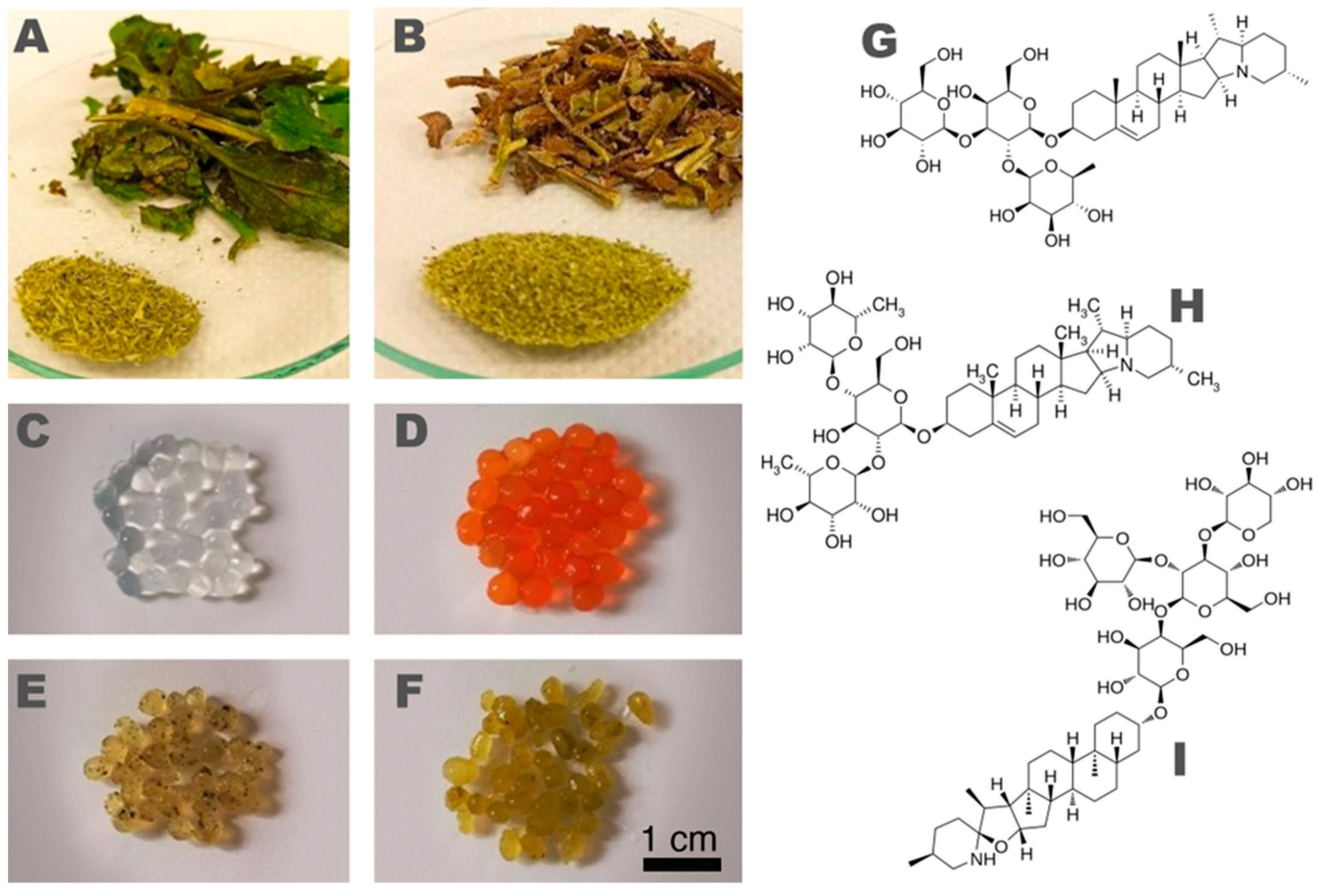Polymers 15 04455 g001
