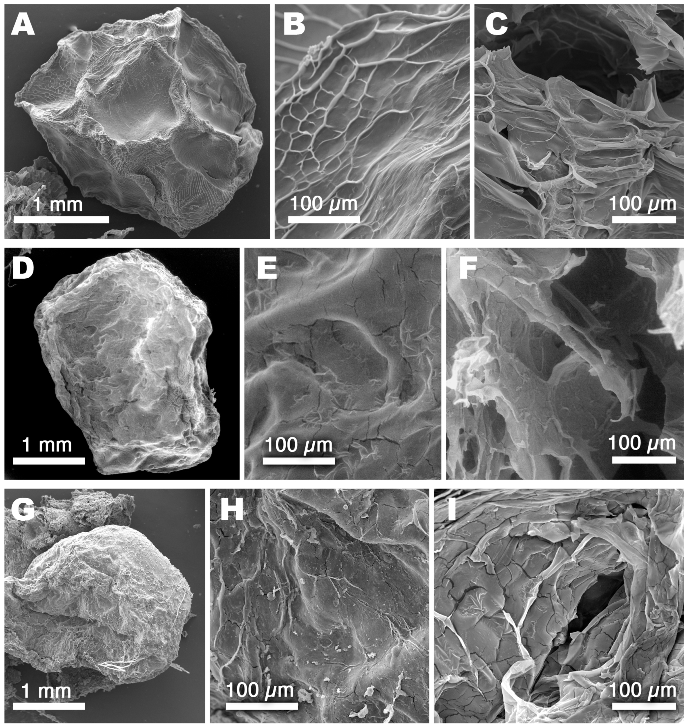 Polymers 15 04455 g005