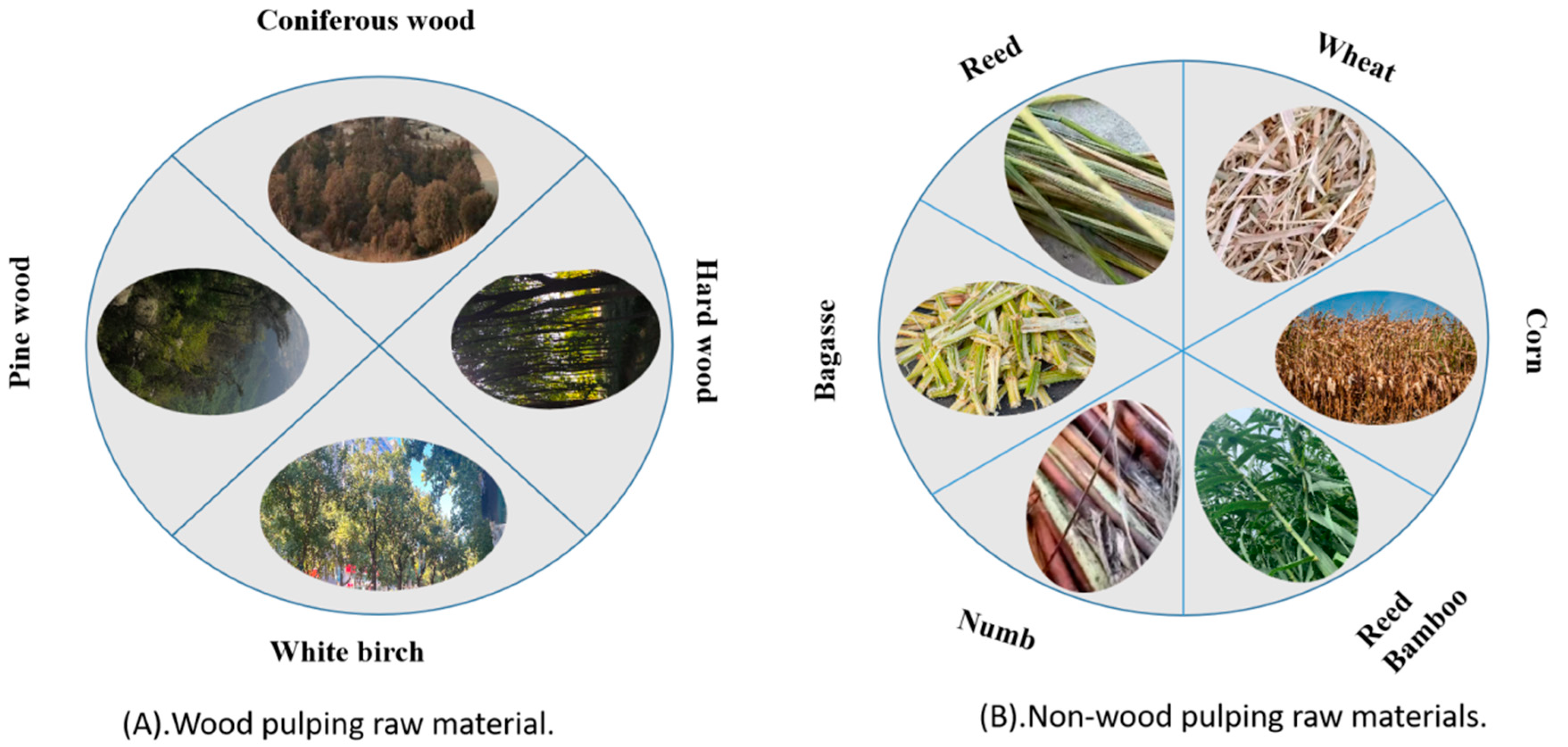 Polymers 15 04465 g002