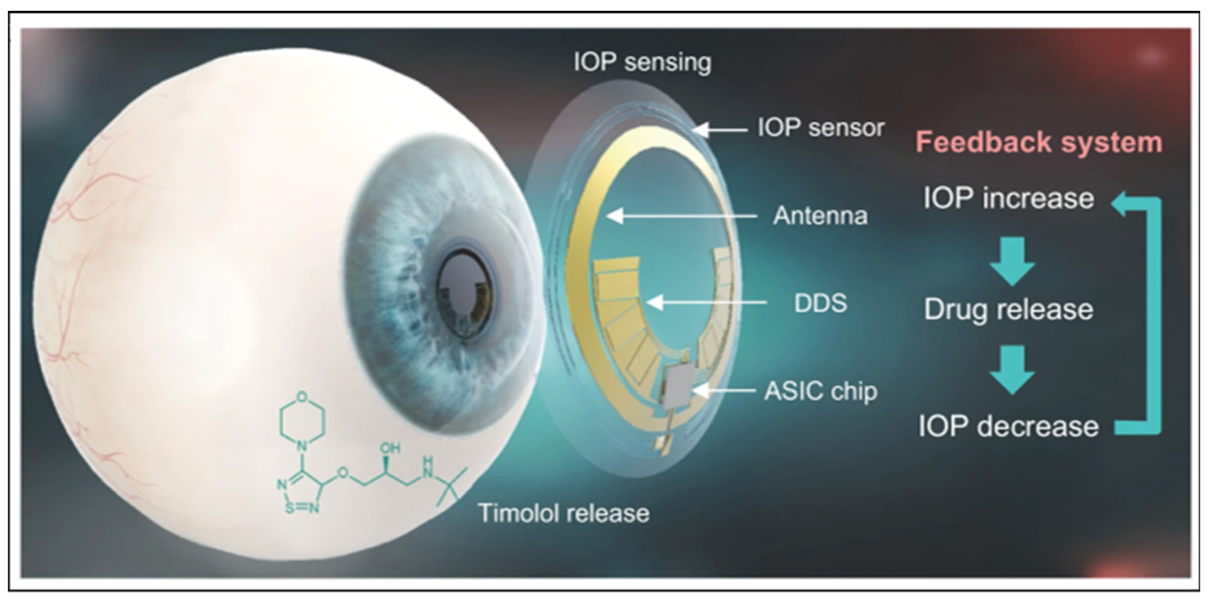 Polymers 15 04466 g005