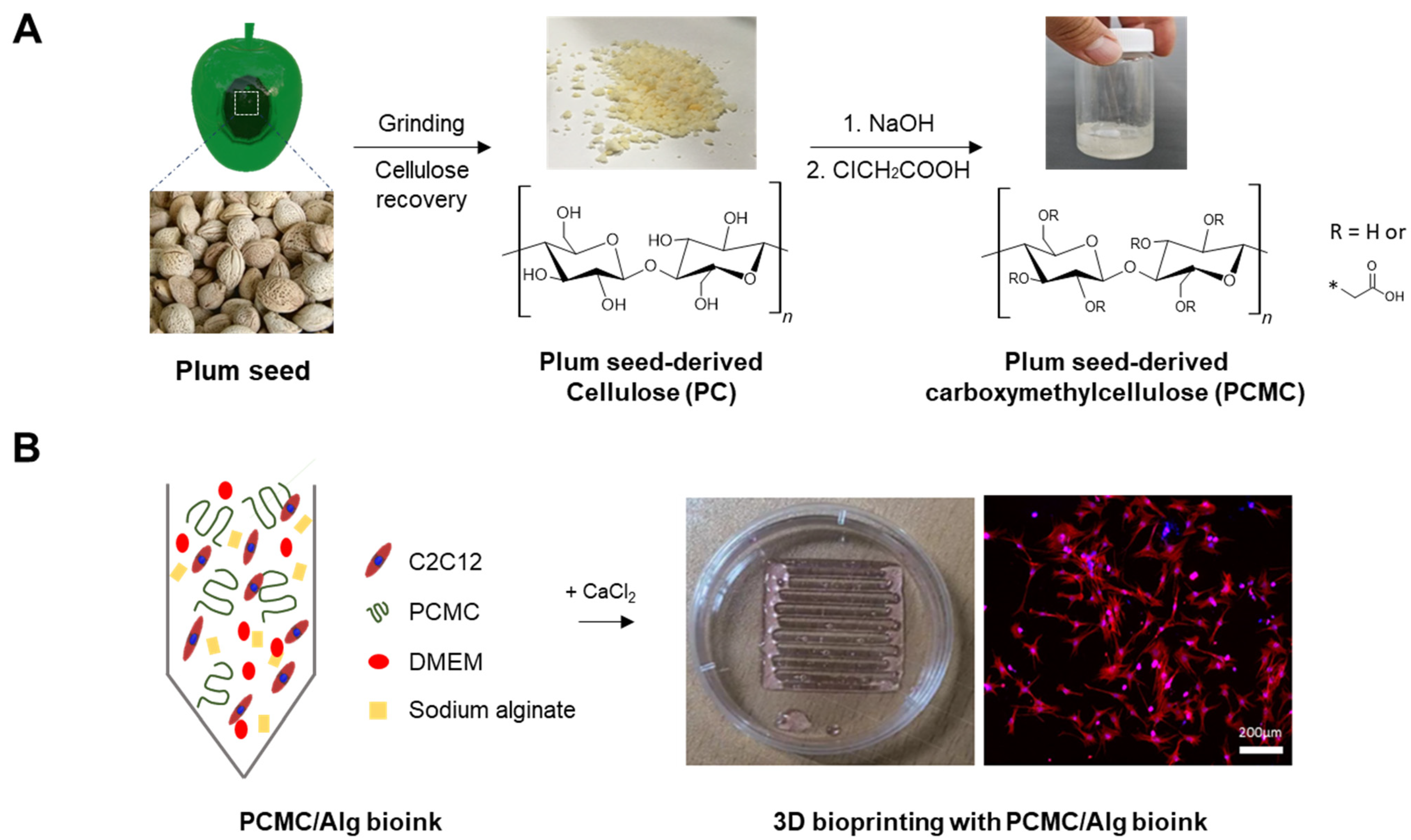 Polymers 15 04473 g001