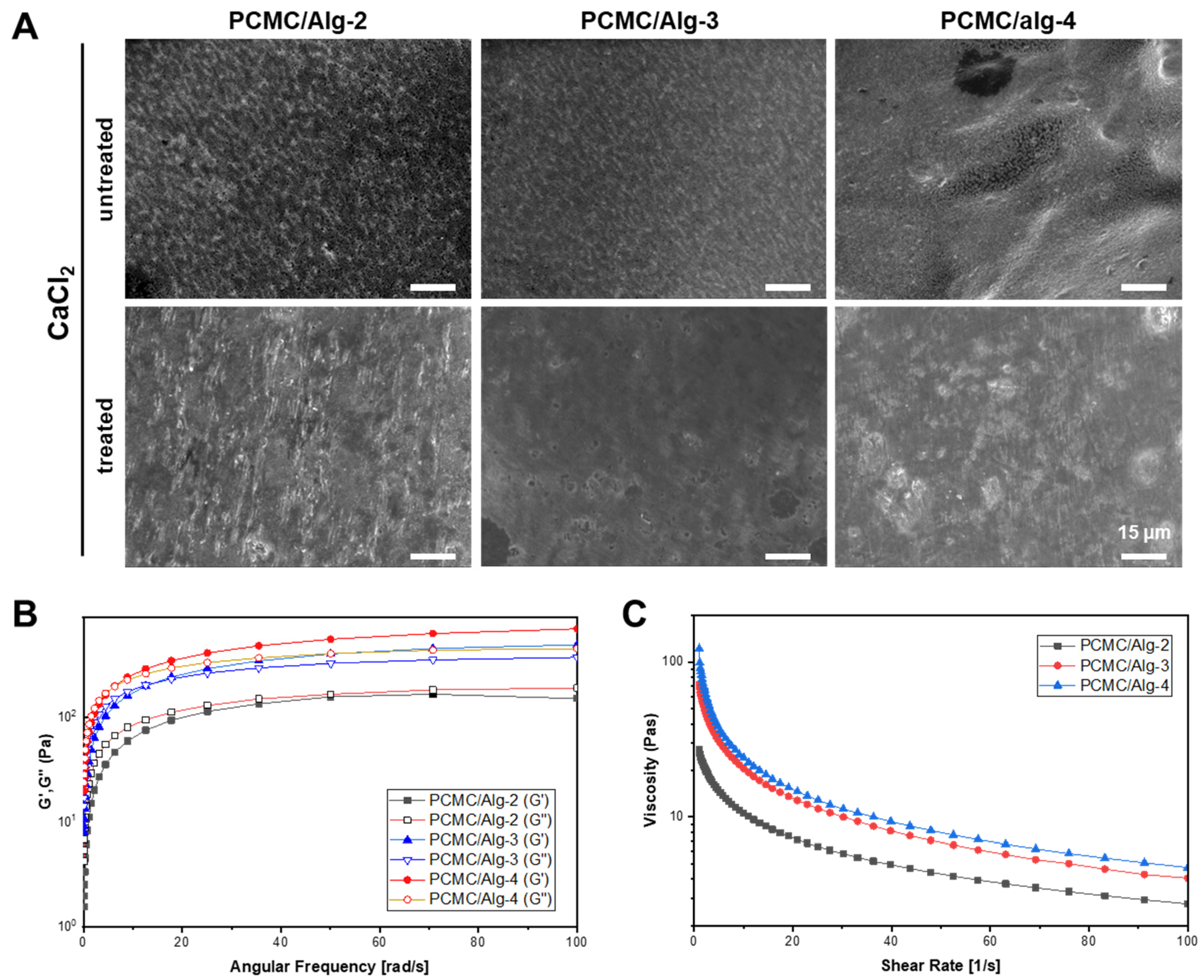 Polymers 15 04473 g003