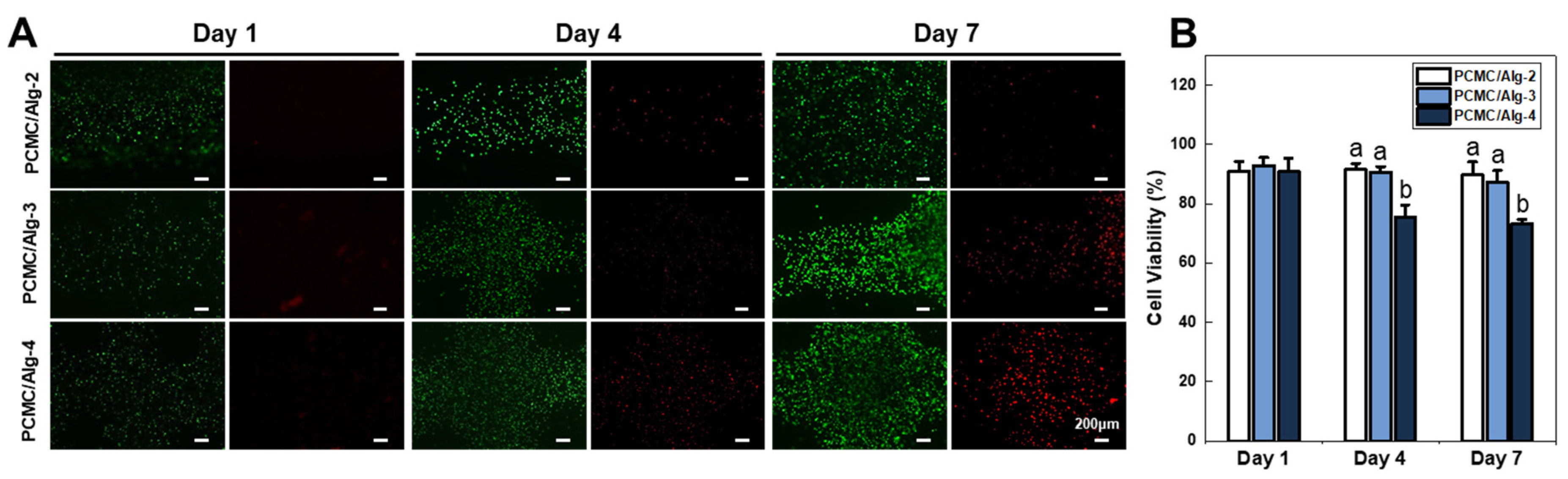 Polymers 15 04473 g005