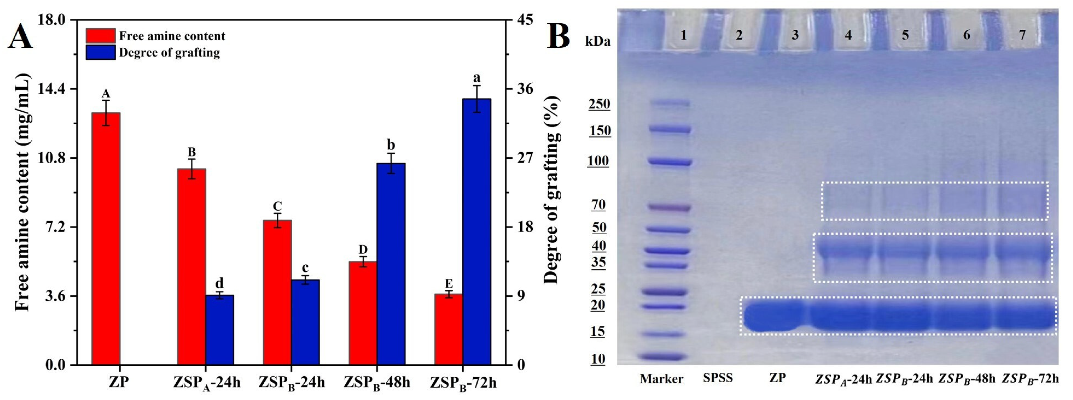 Polymers 15 04474 g001