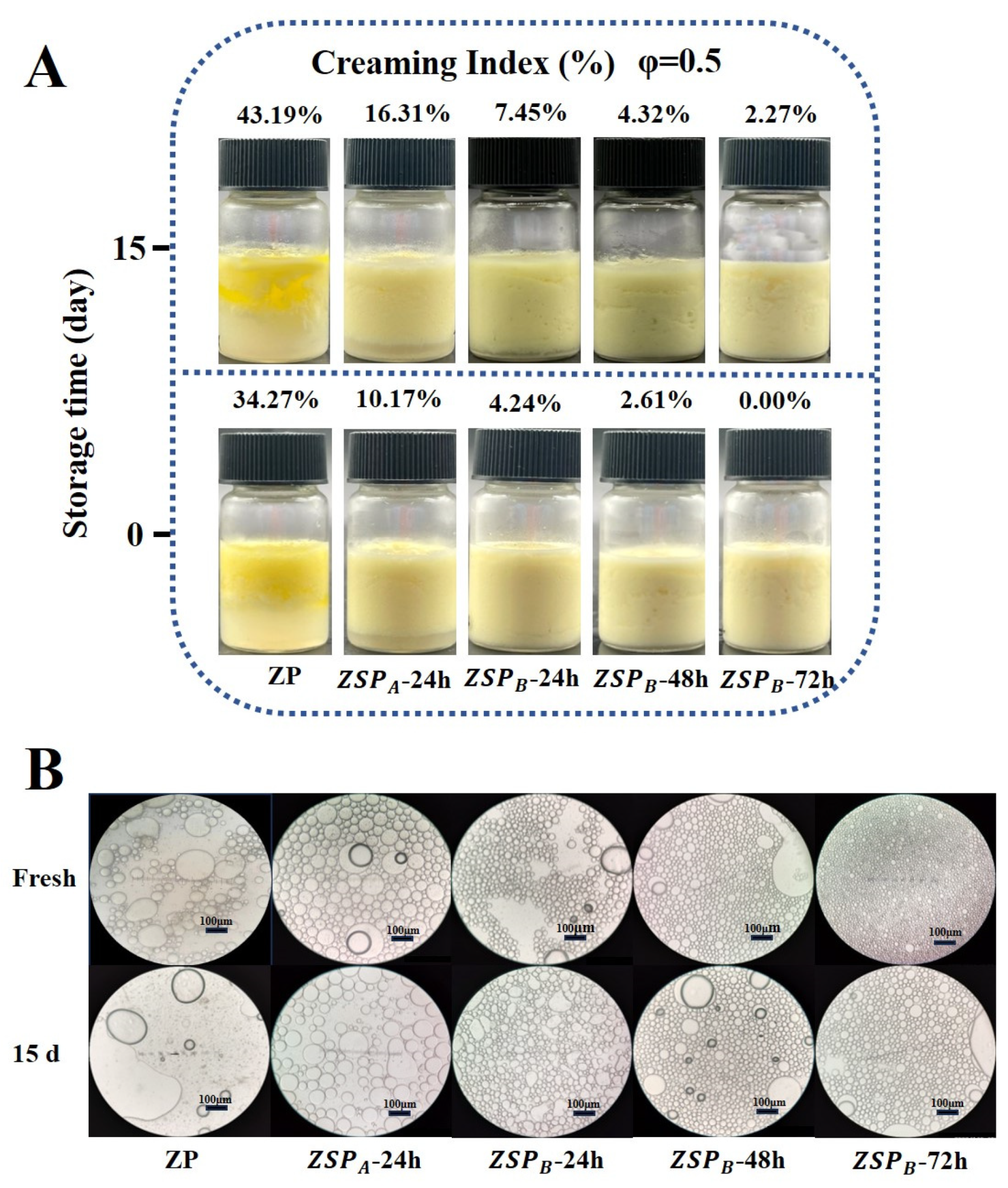 Polymers 15 04474 g008