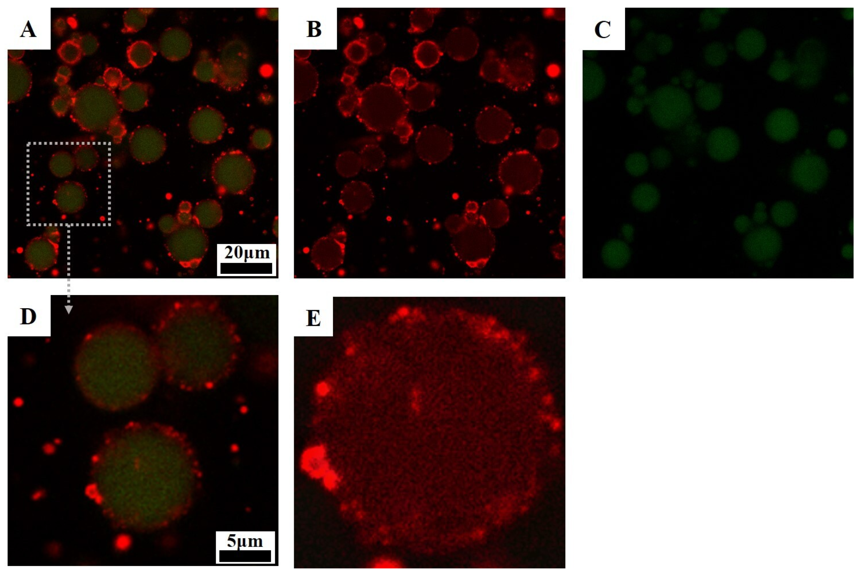 Polymers 15 04474 g009