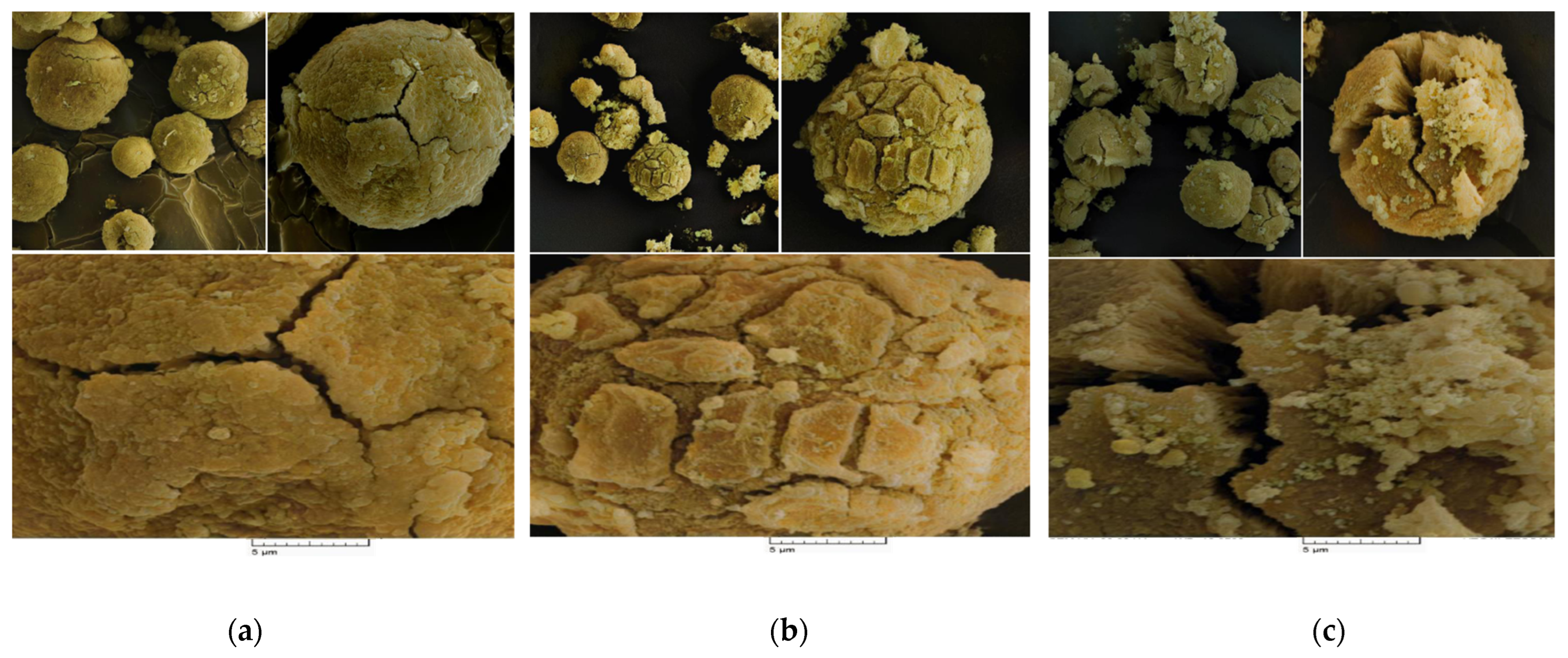 Polymers 15 04476 g003