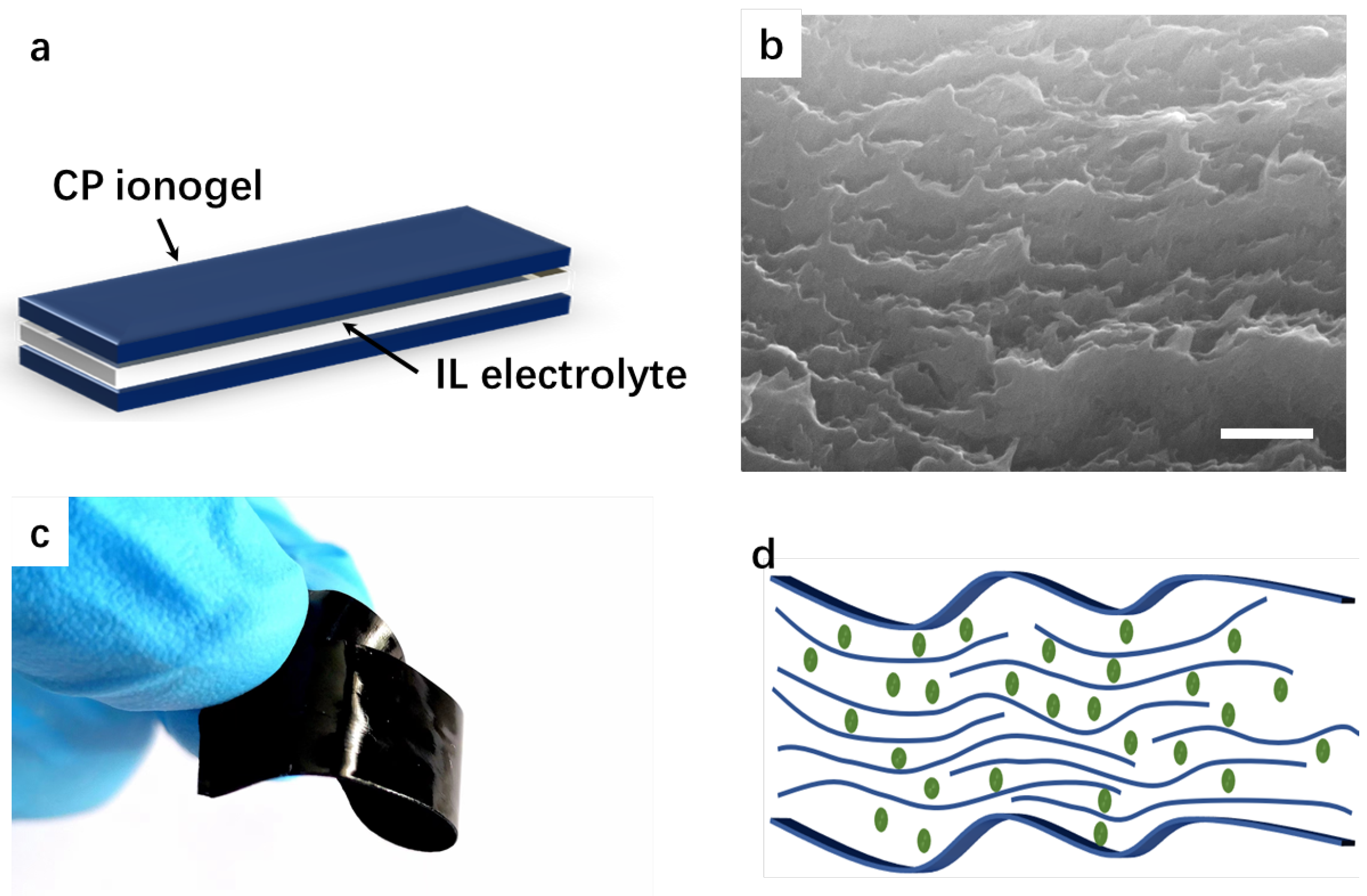 Polymers 15 04482 g001