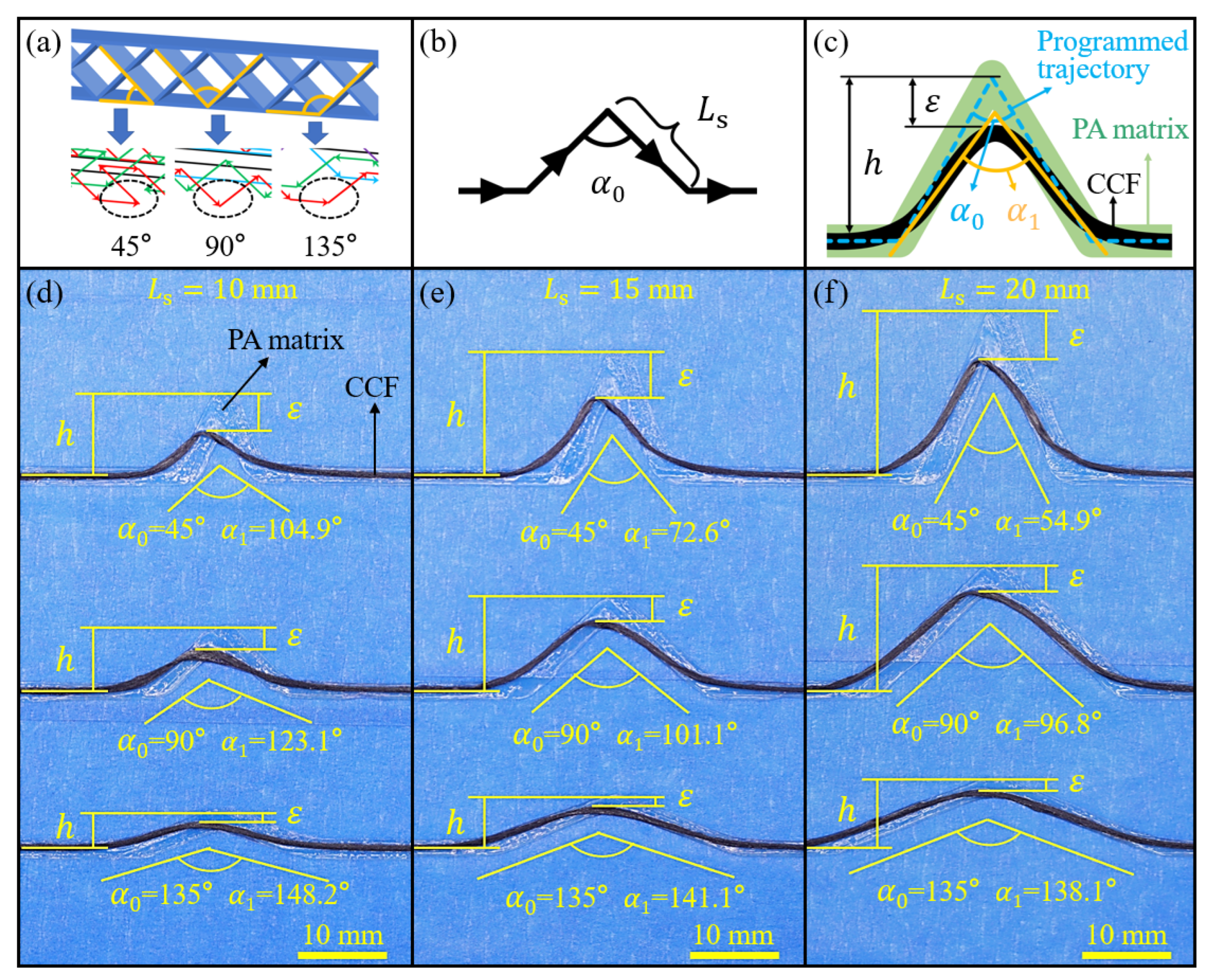 Polymers 15 04485 g004