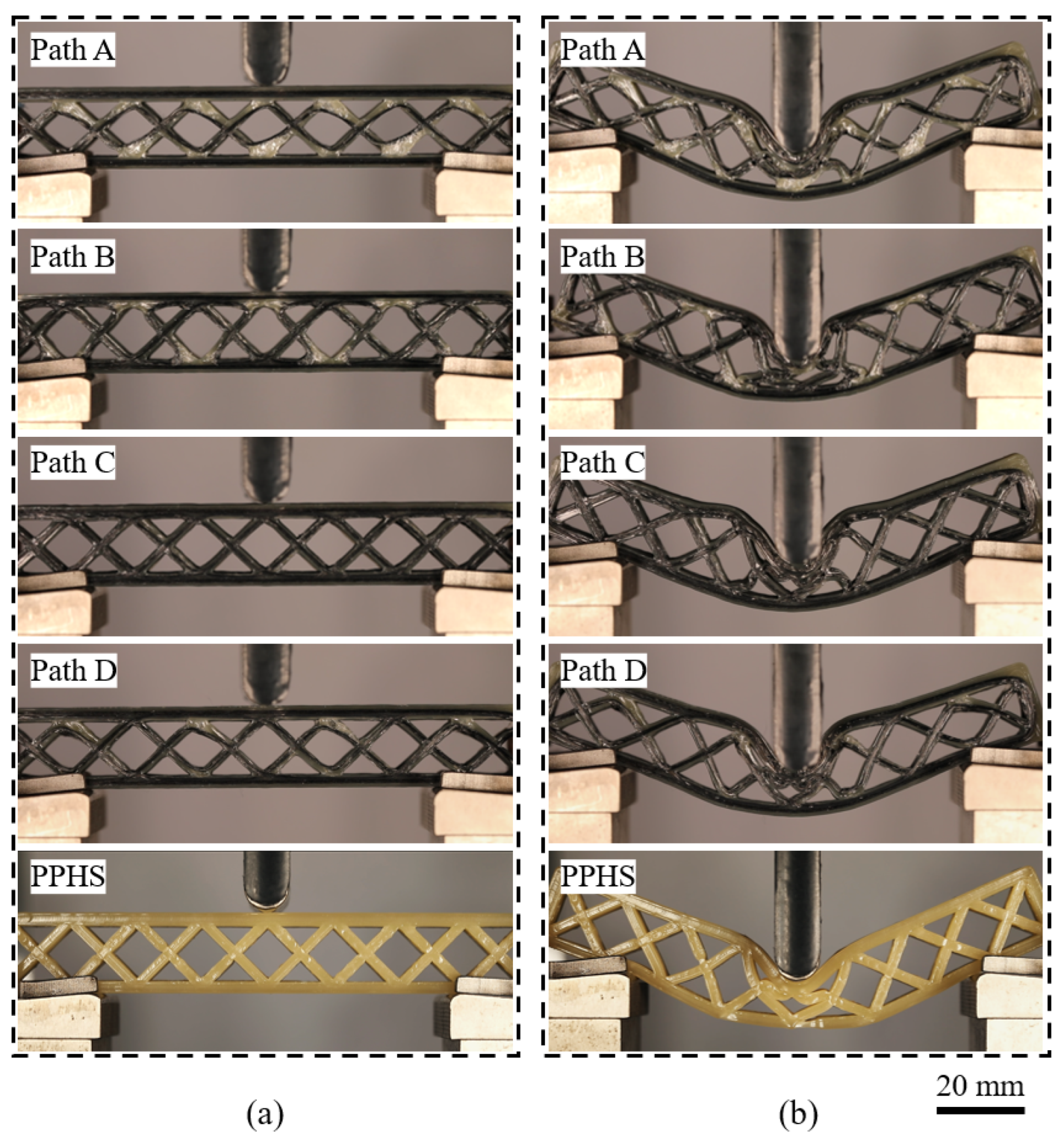 Polymers 15 04485 g007