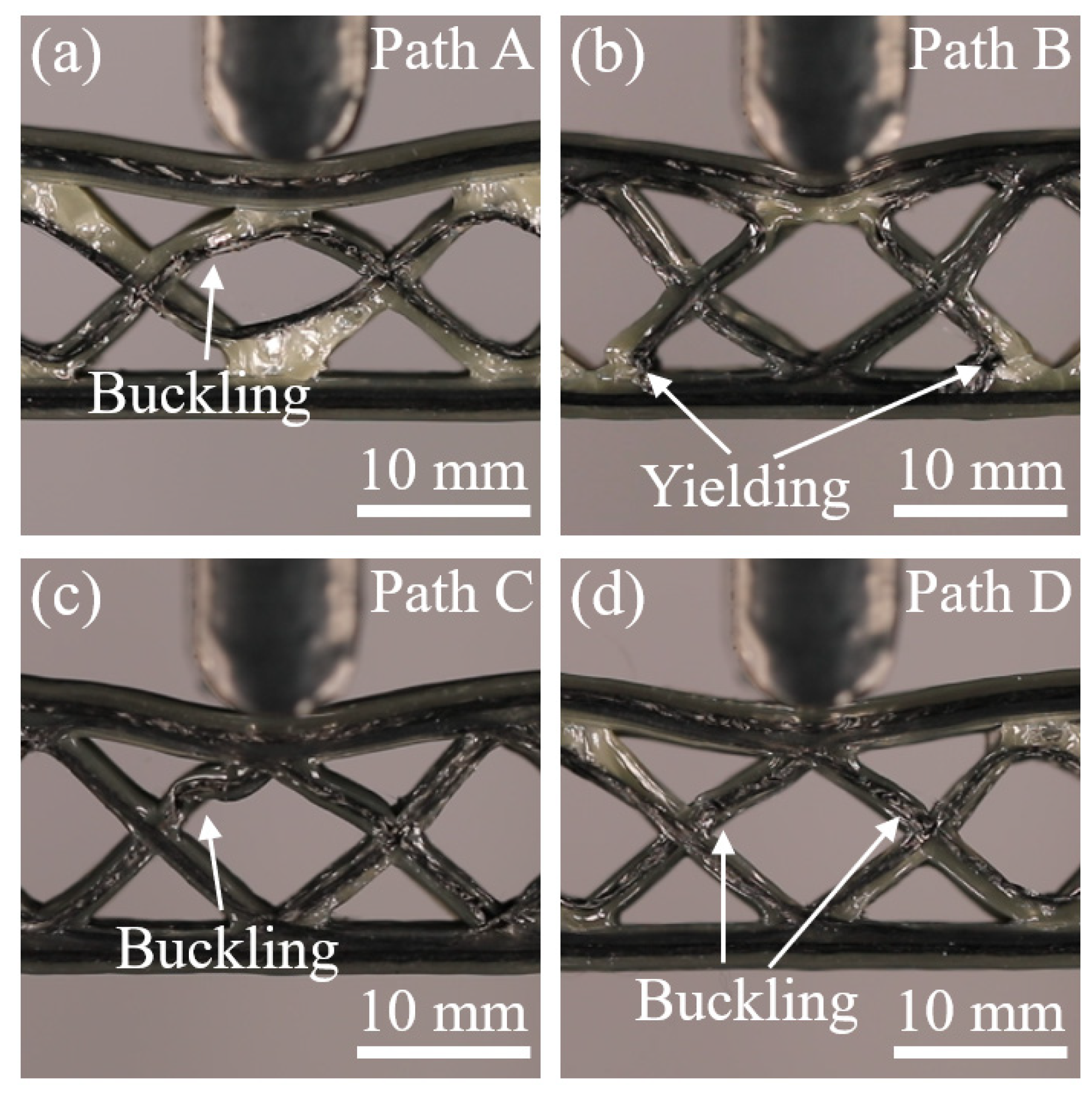 Polymers 15 04485 g011