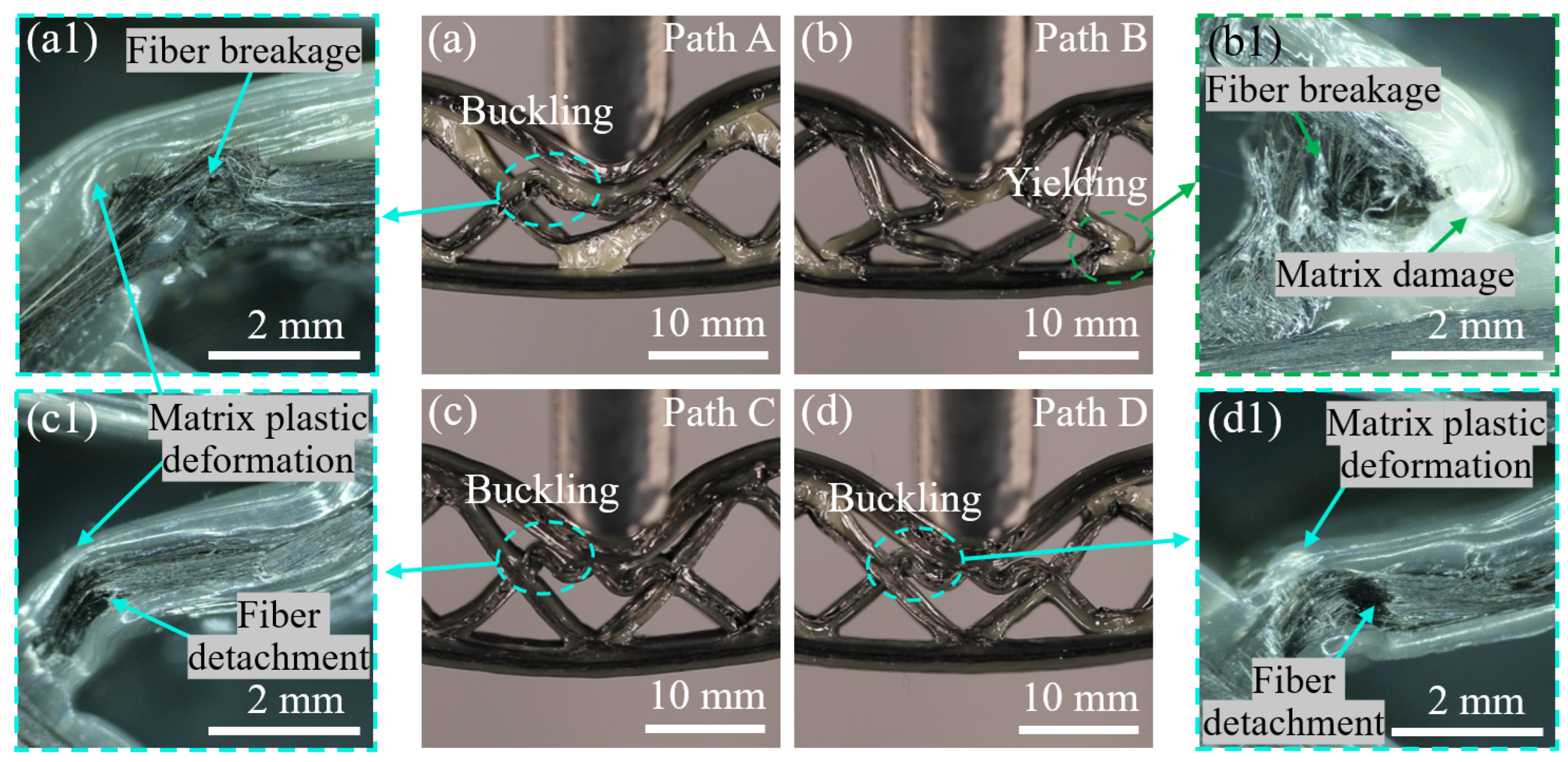 Polymers 15 04485 g012