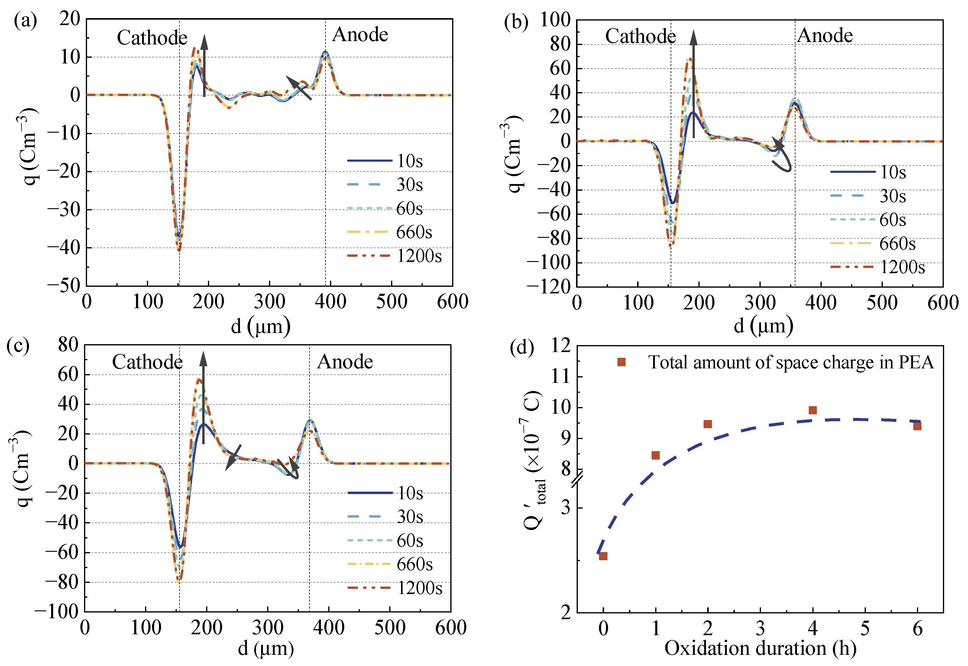 Polymers 15 04490 g006