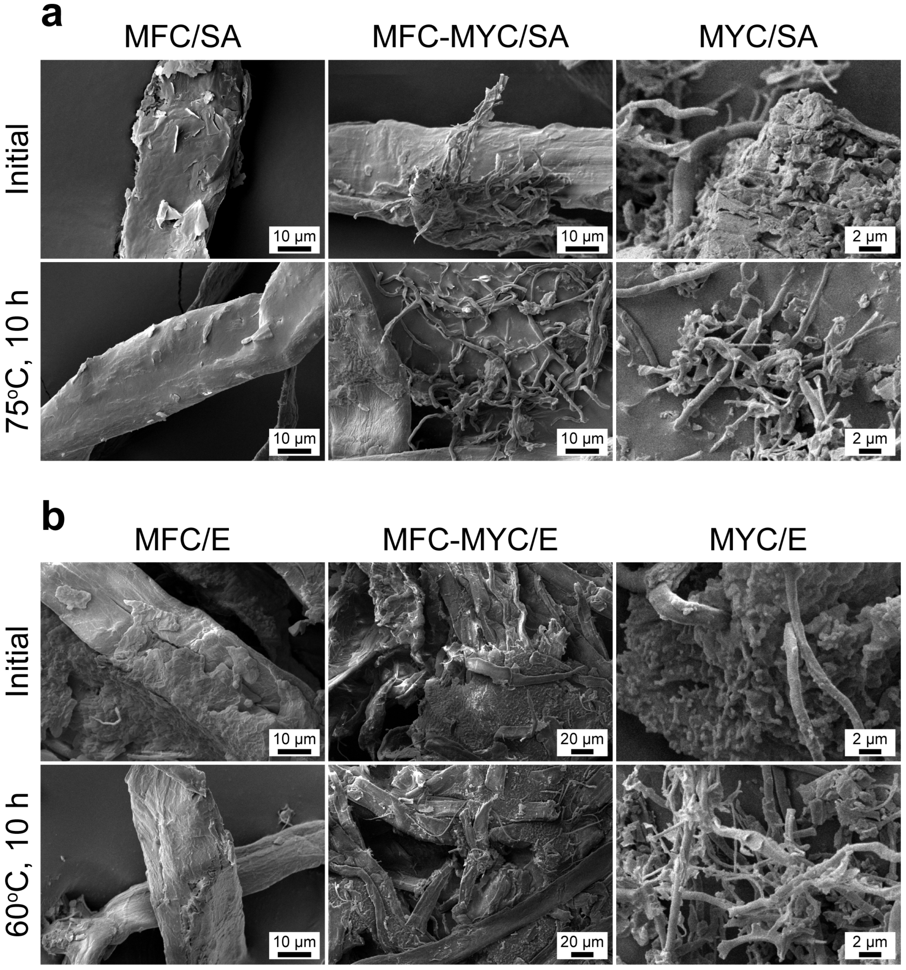 Polymers 15 04504 g009