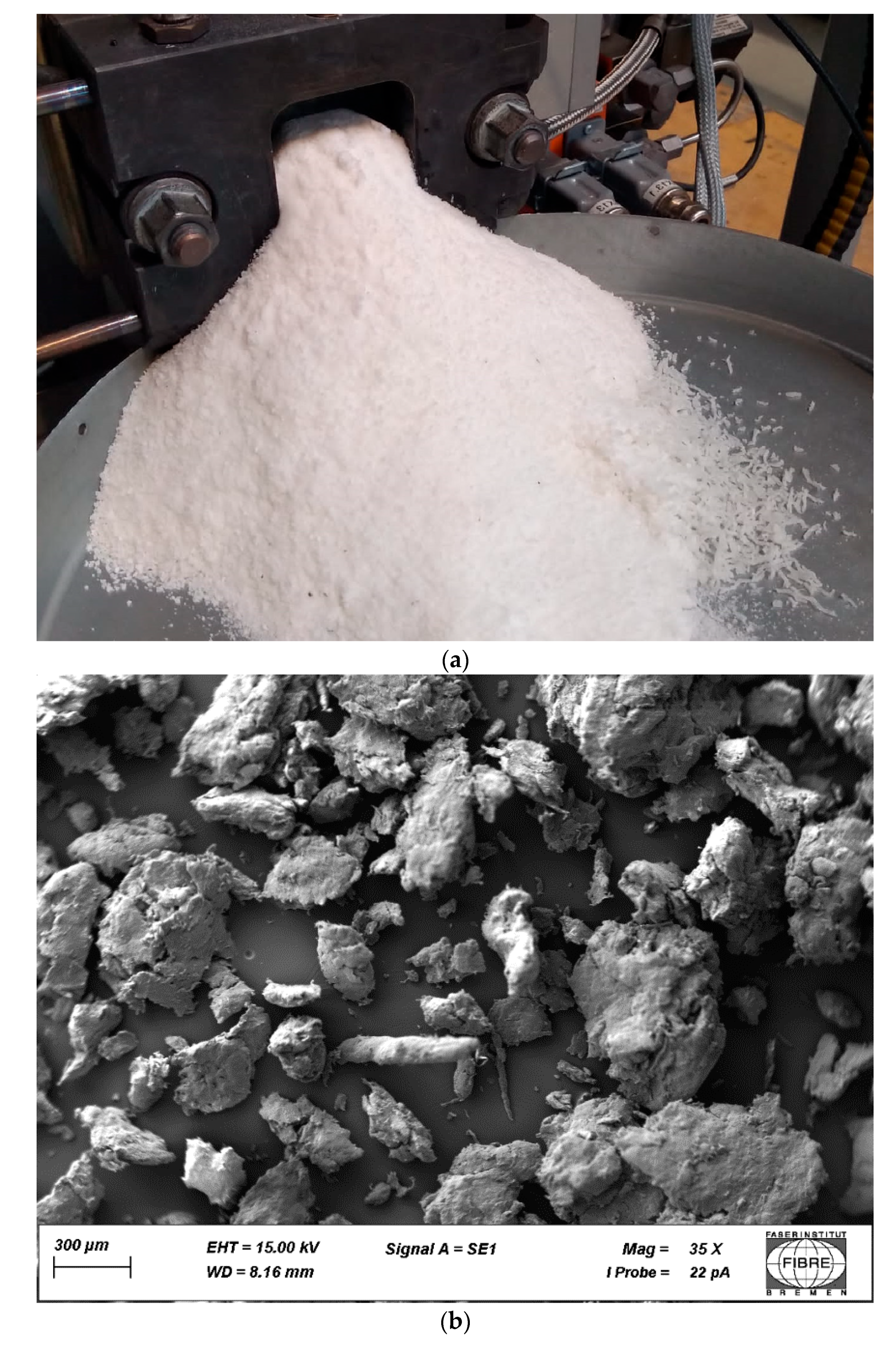 Polymers 15 04510 g001