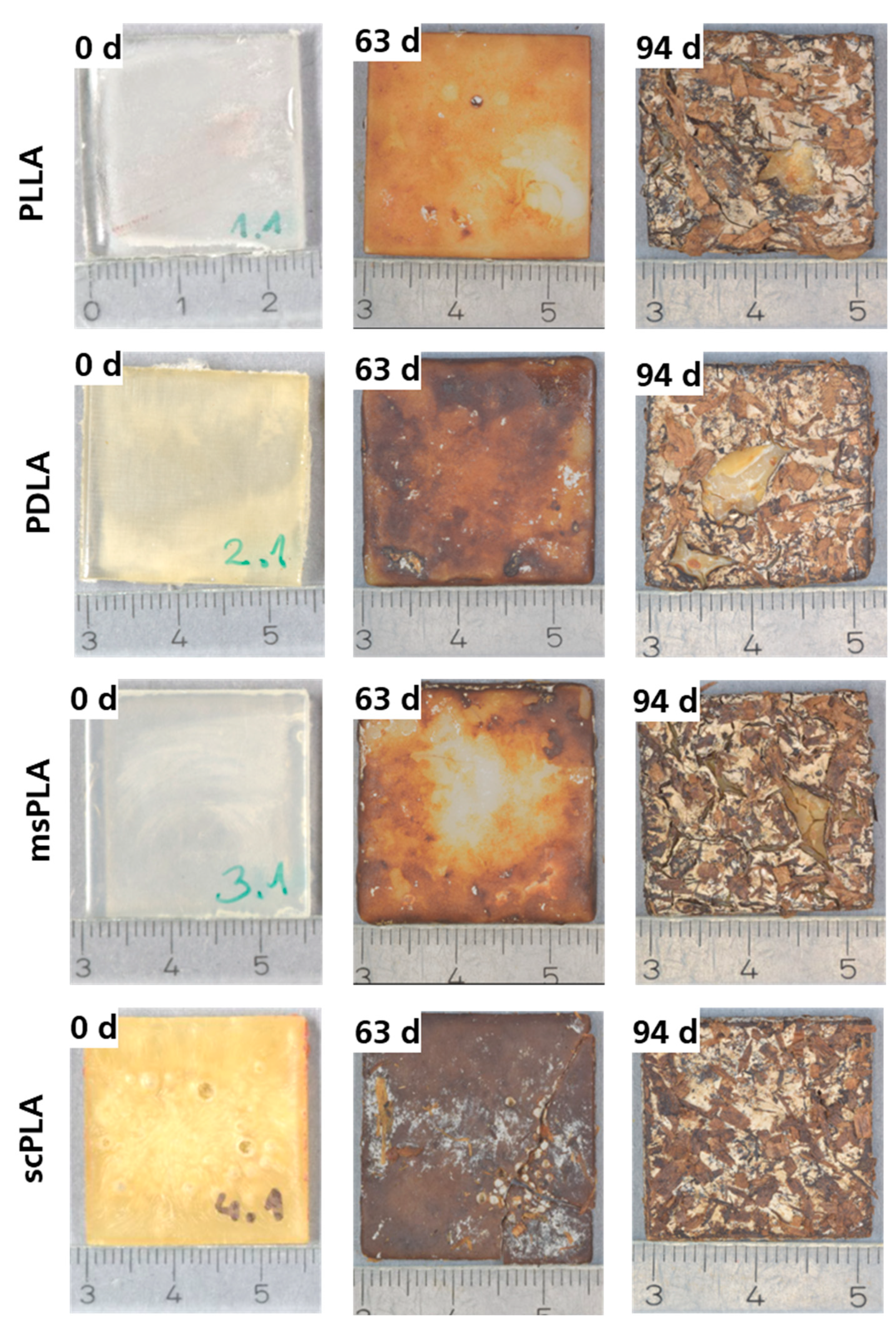 Polymers 15 04510 g005