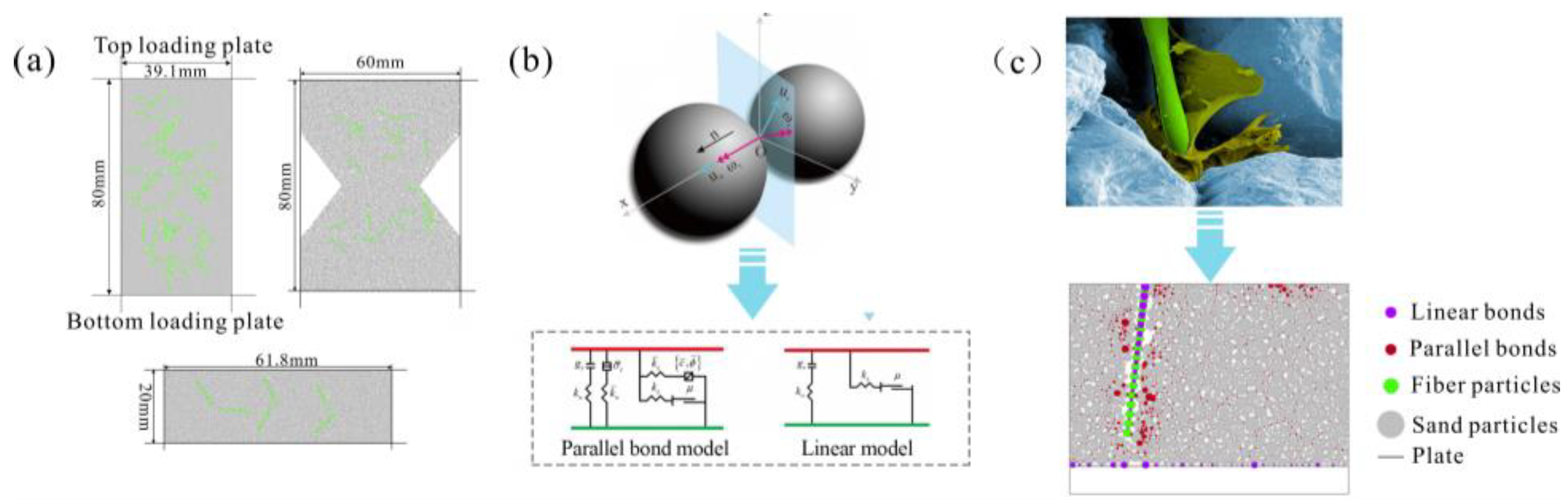 Polymers 15 04528 g004