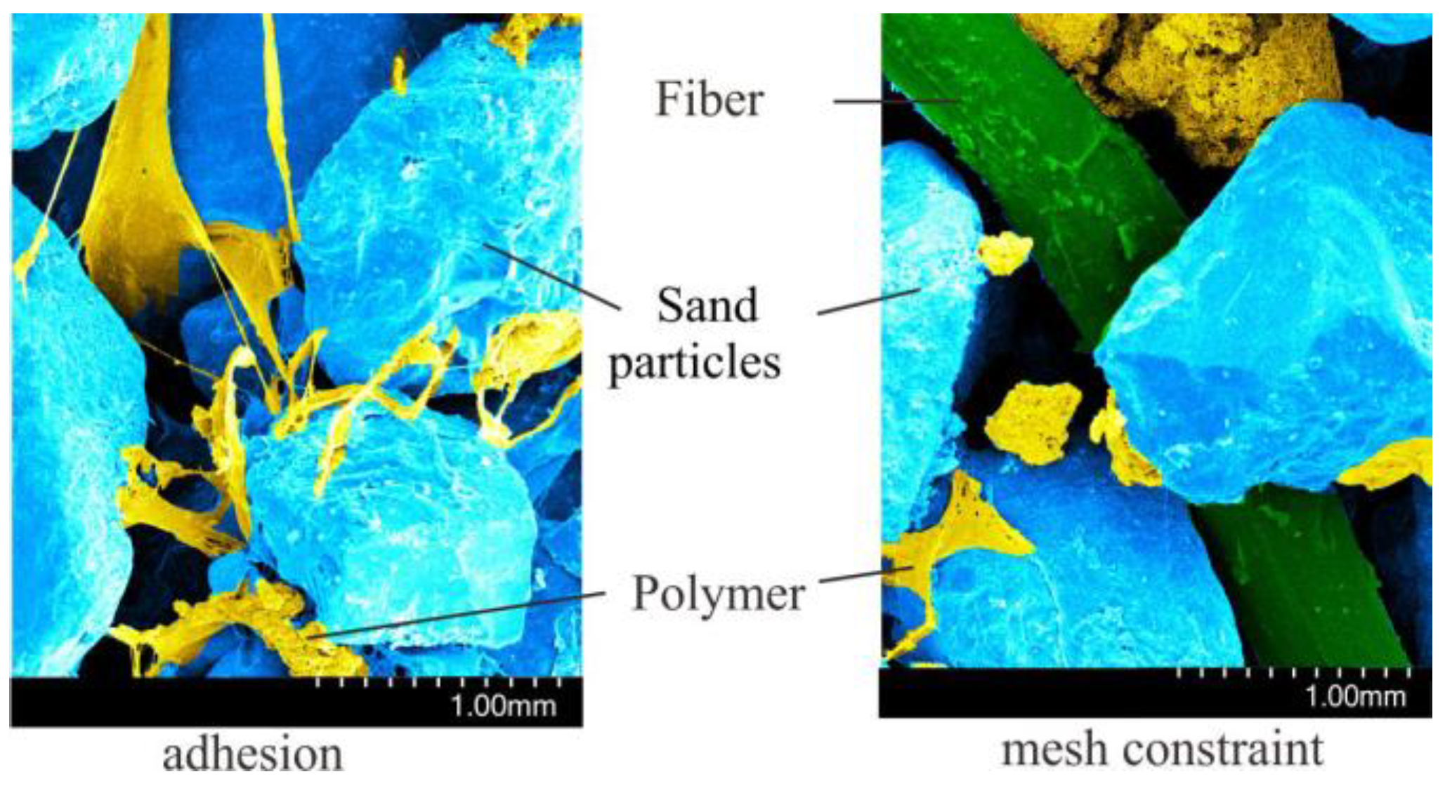 Polymers 15 04528 g010
