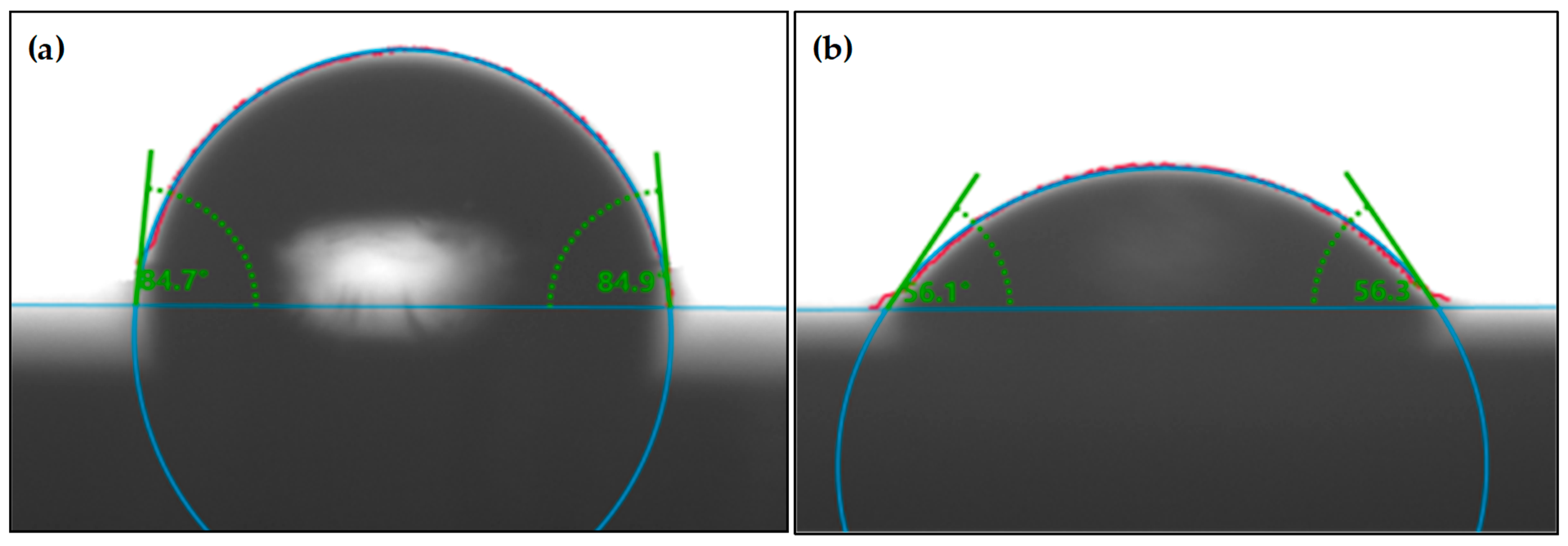 Polymers 15 04532 g014