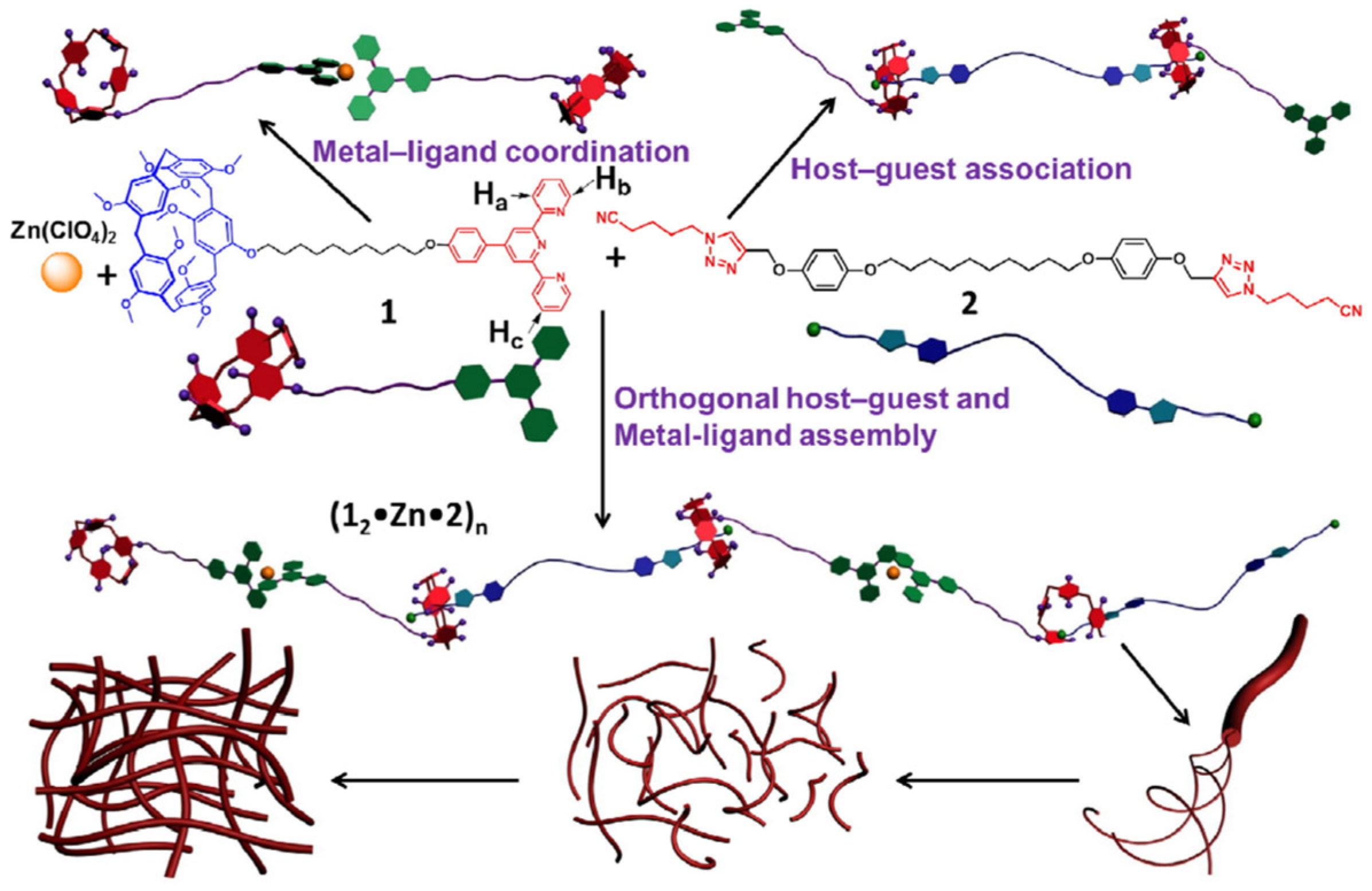 Polymers 15 04543 g001