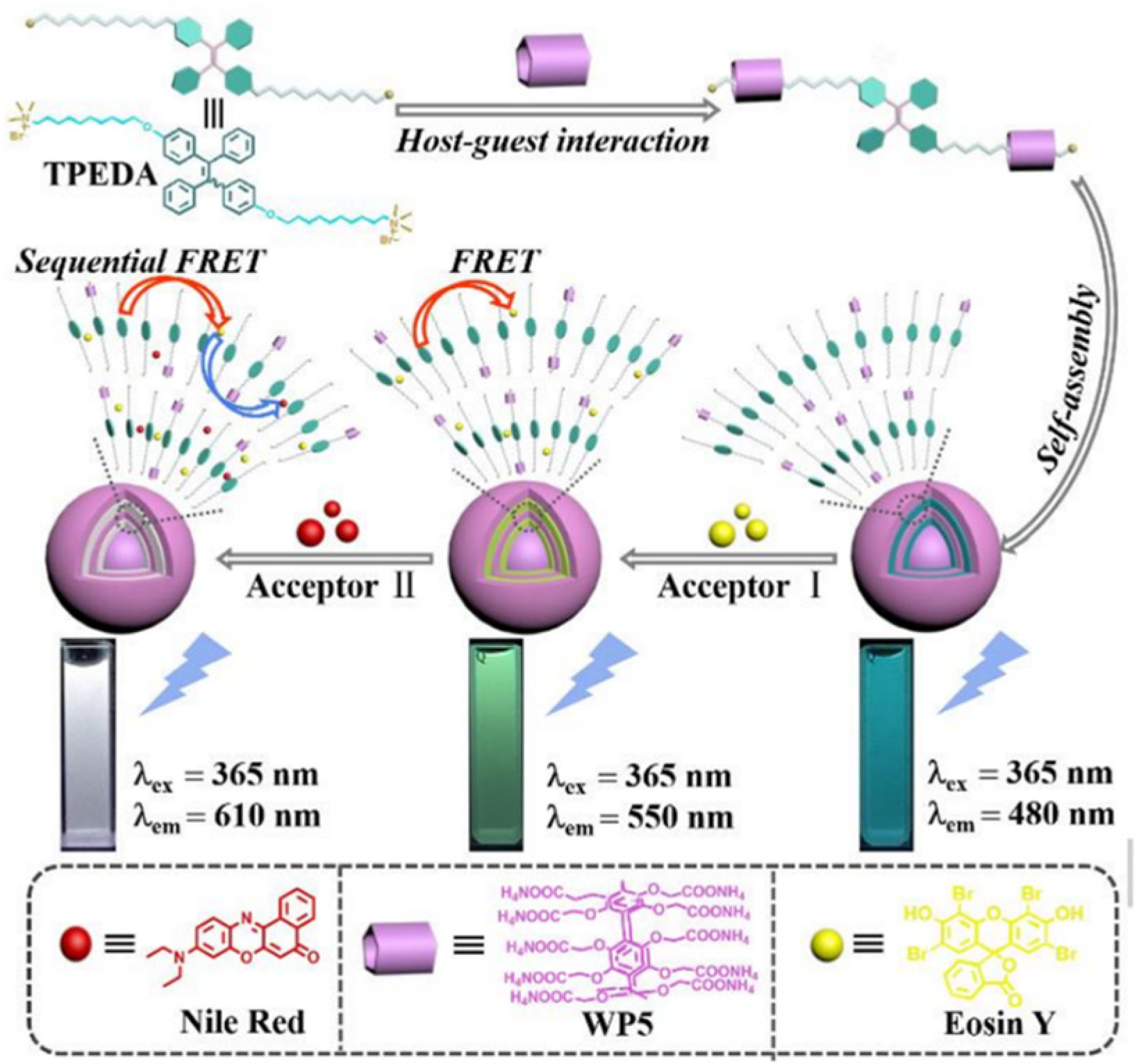 Polymers 15 04543 g007