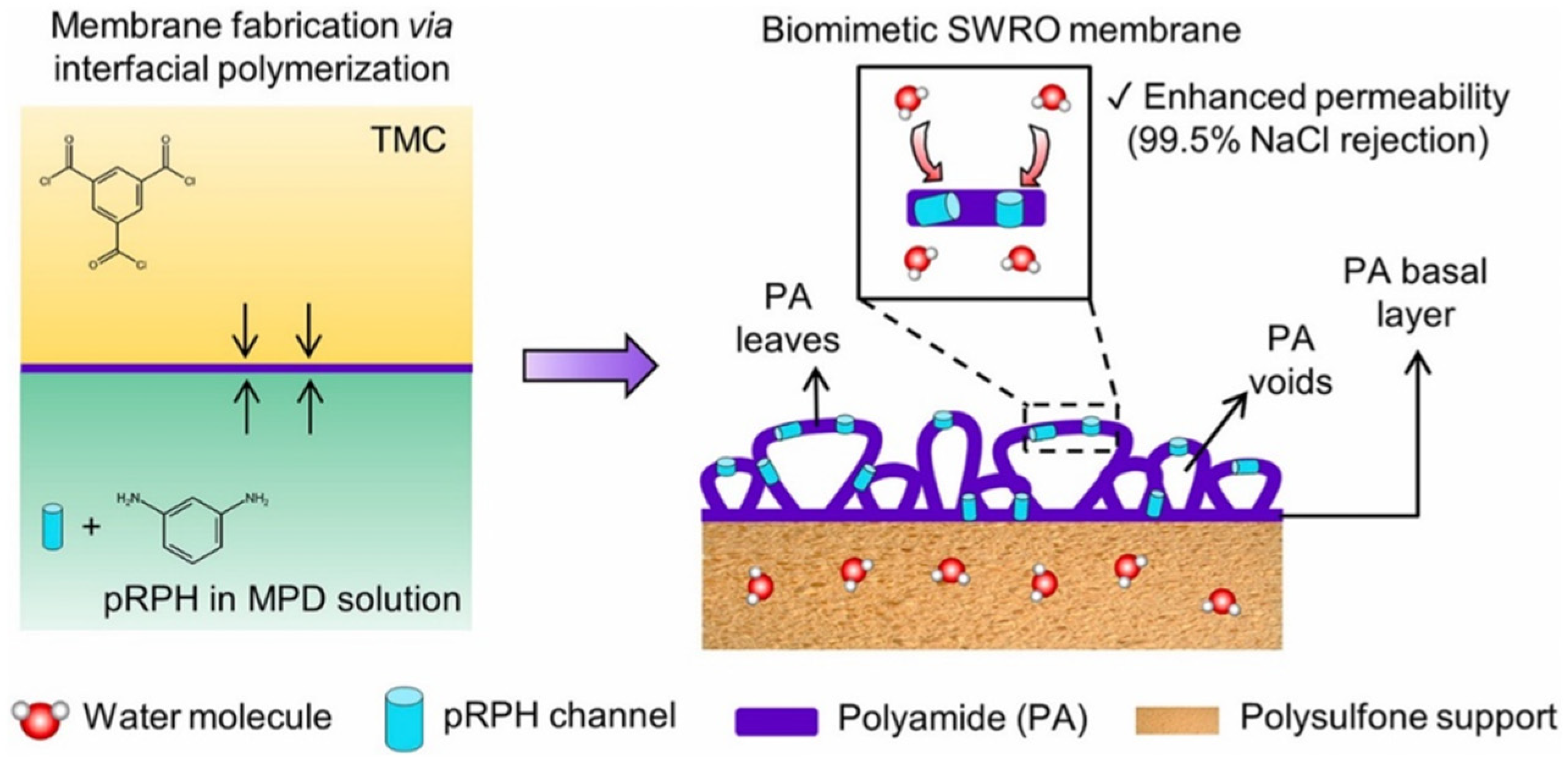 Polymers 15 04543 g009