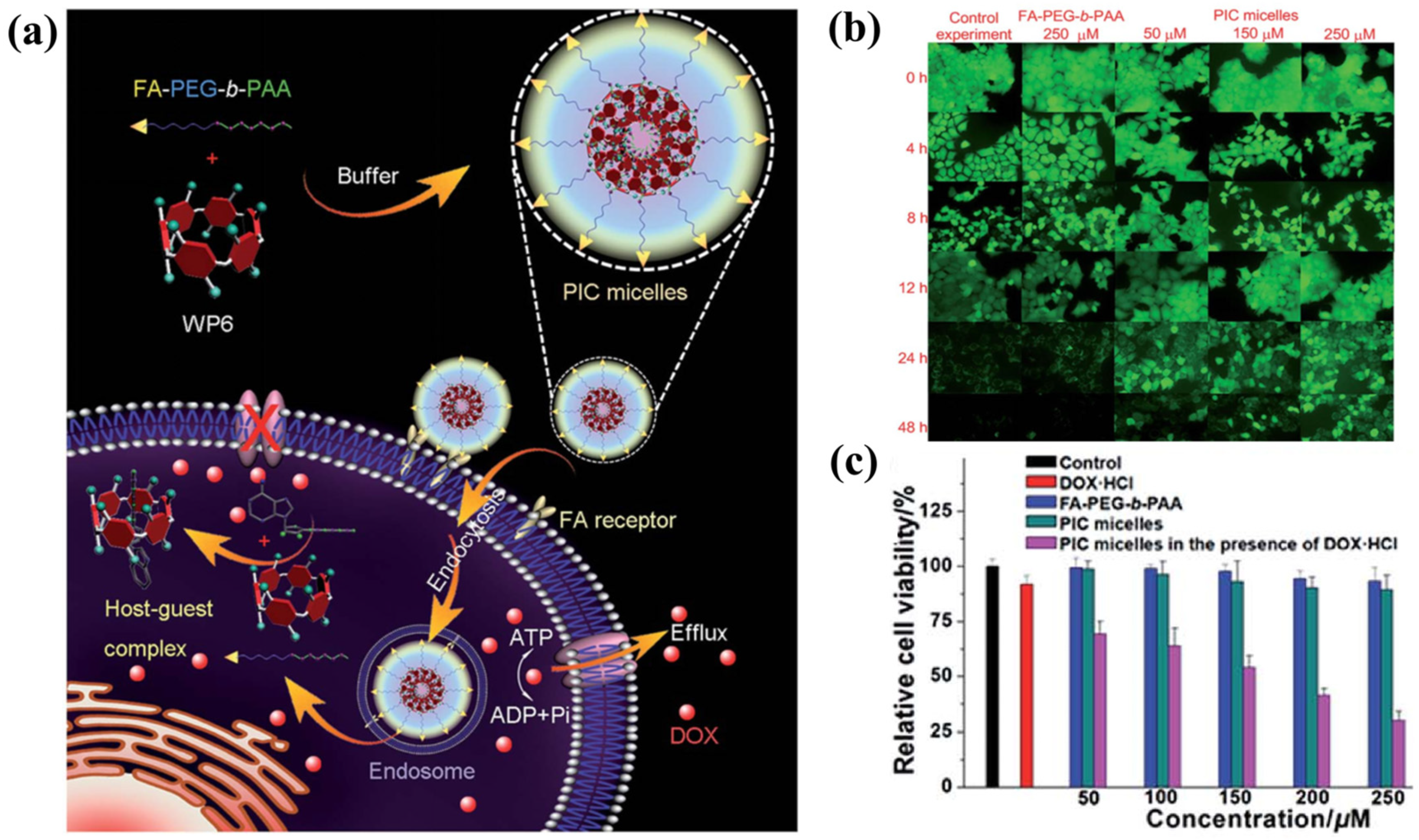 Polymers 15 04543 g010