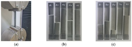Polymers 15 04551 g008