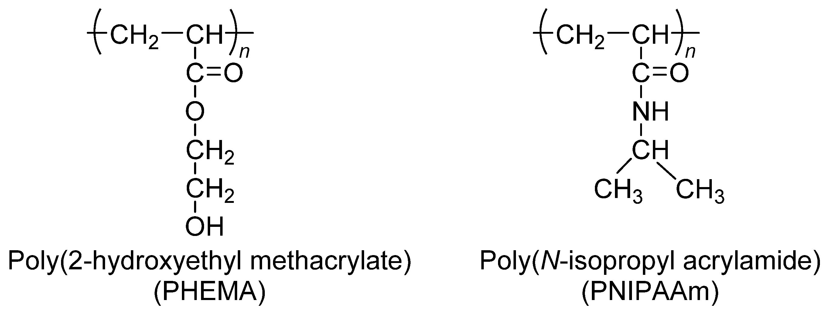 Polymers 15 04563 g001