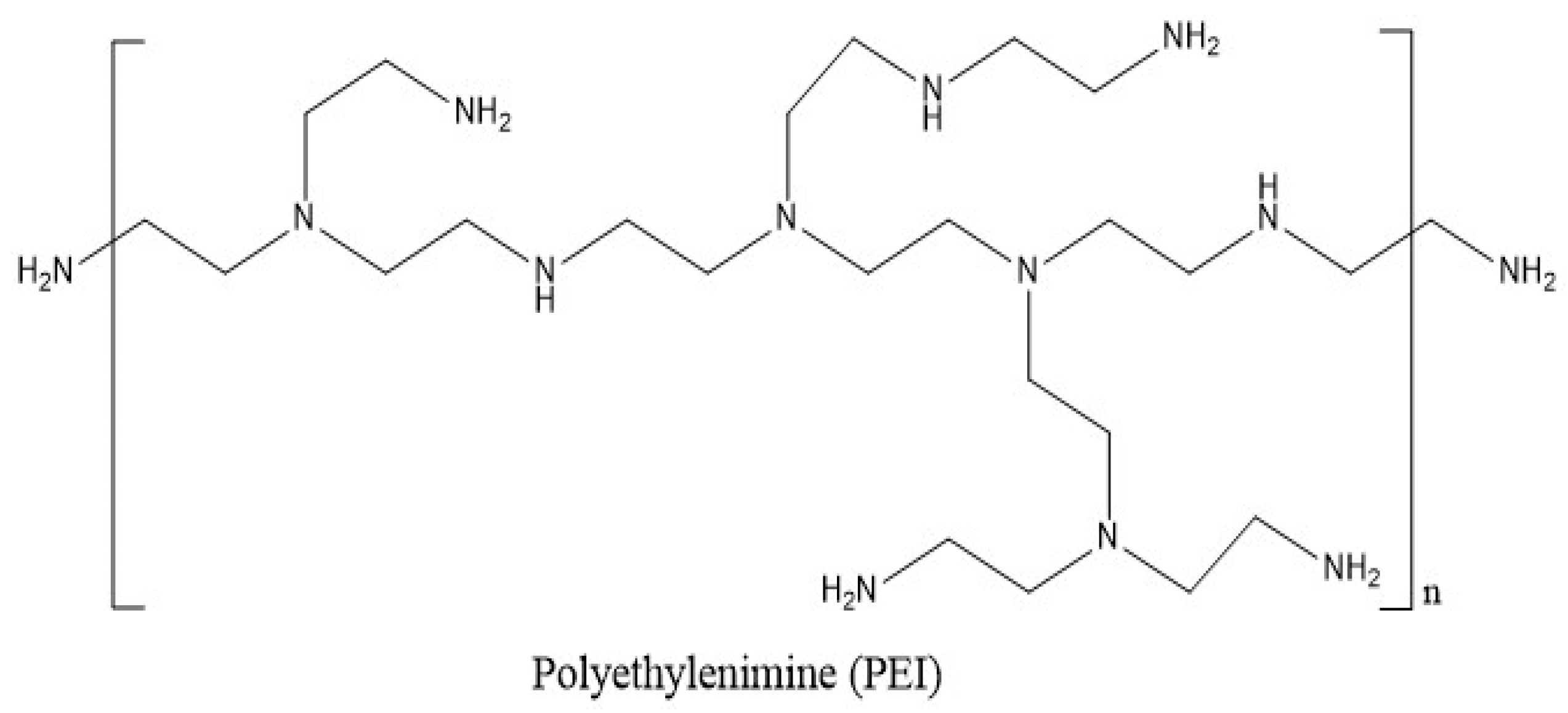 Polymers 15 04563 g002