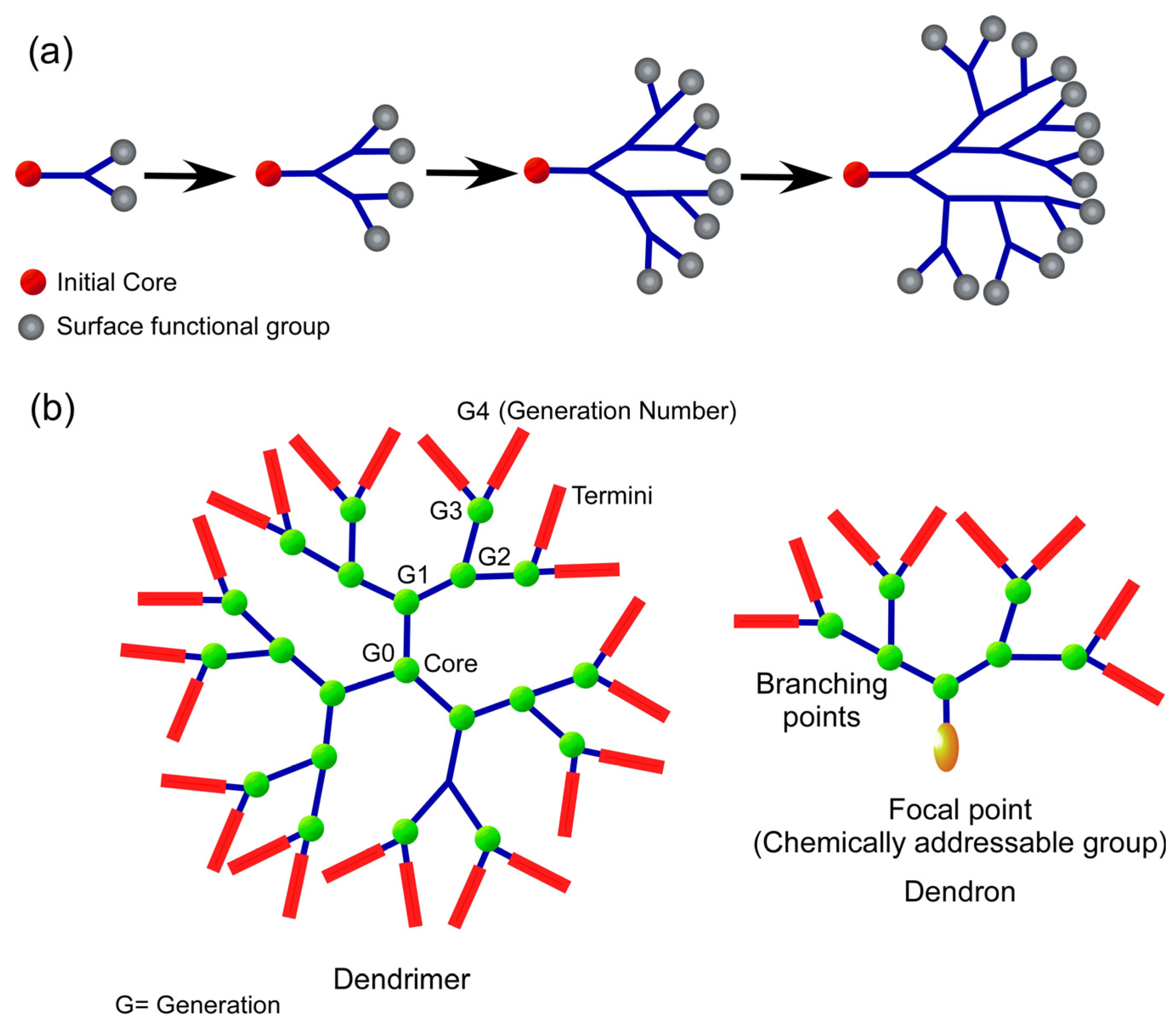 Polymers 15 04563 g003