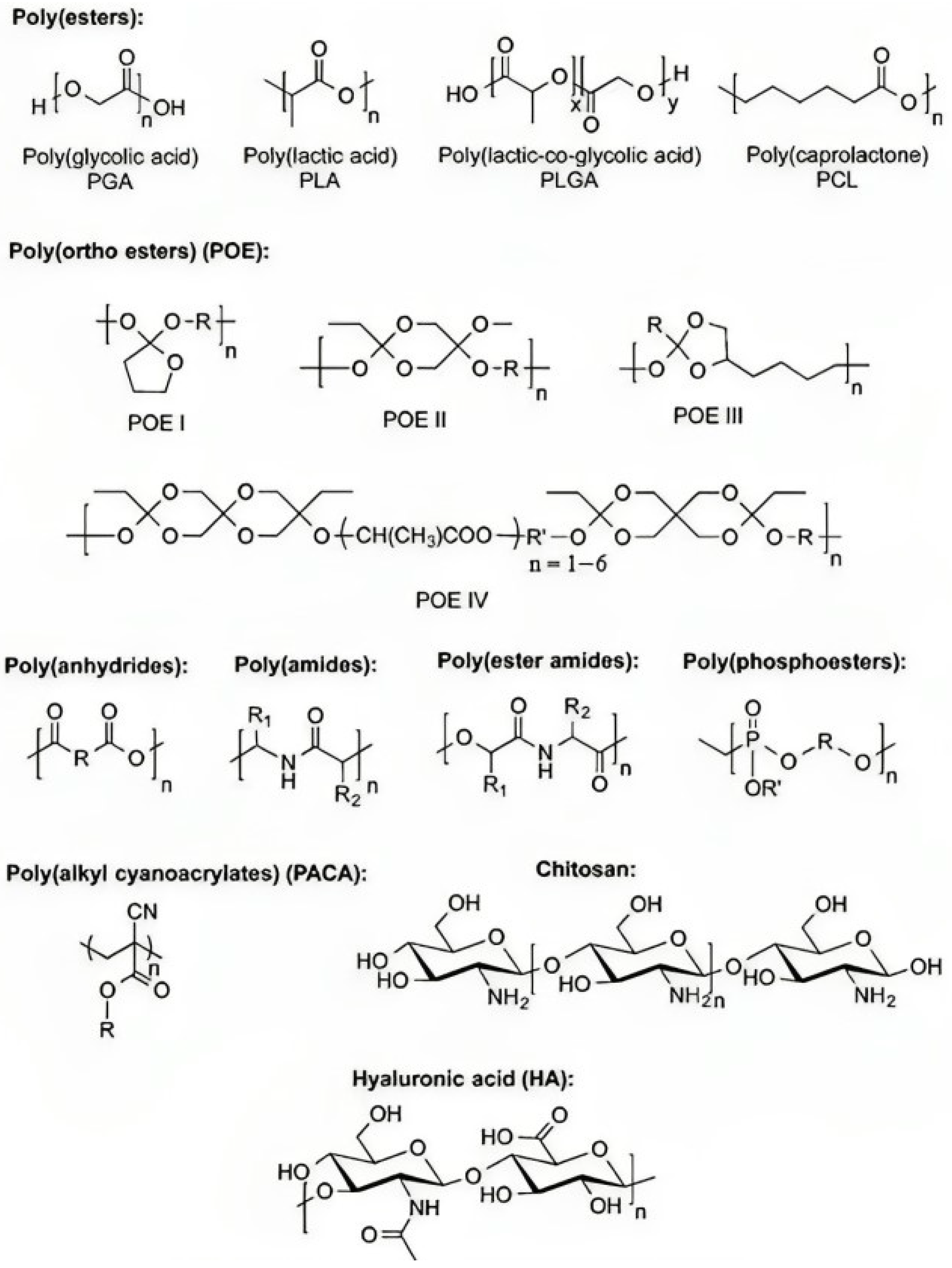 Polymers 15 04563 g004