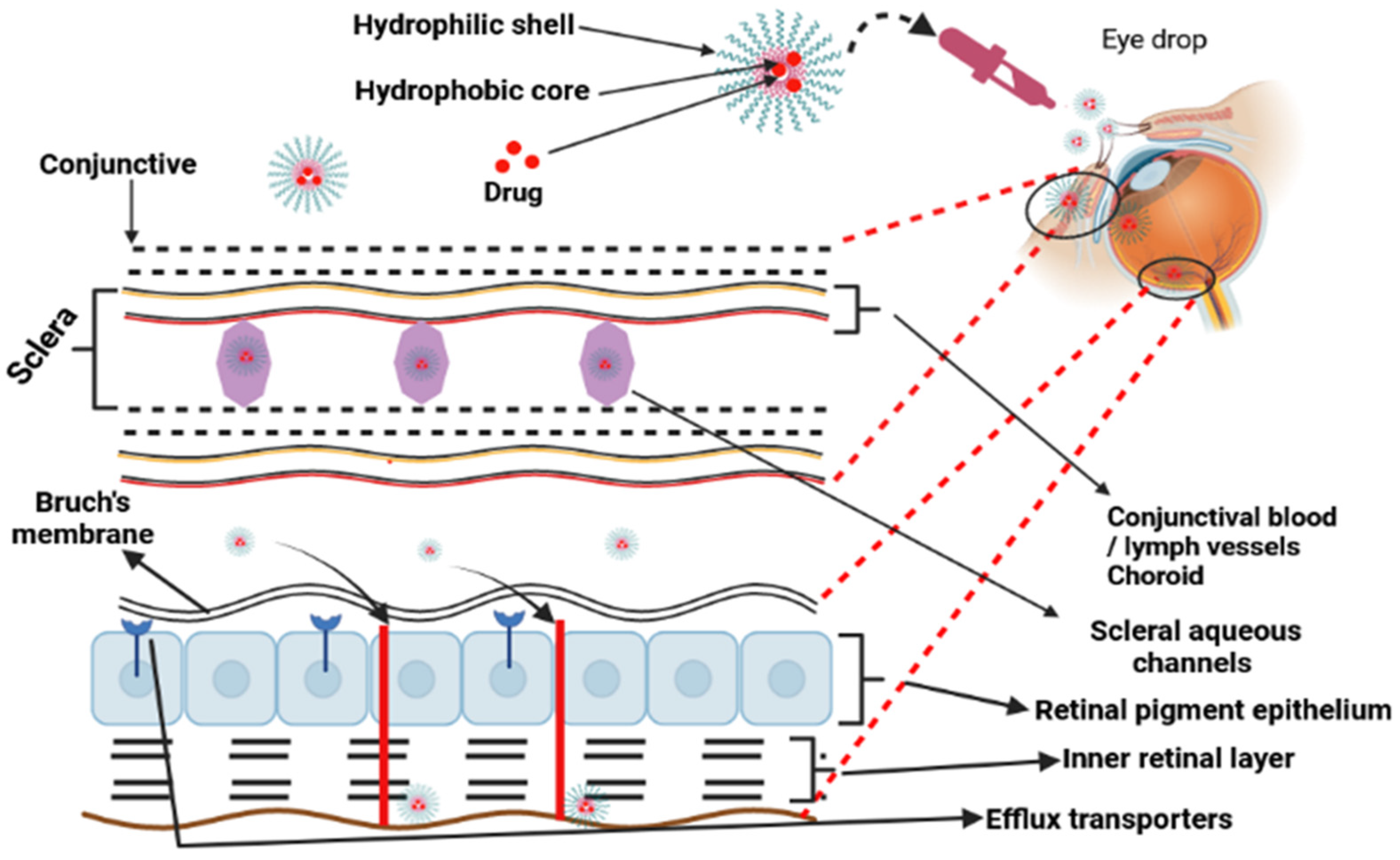 Polymers 15 04563 g005