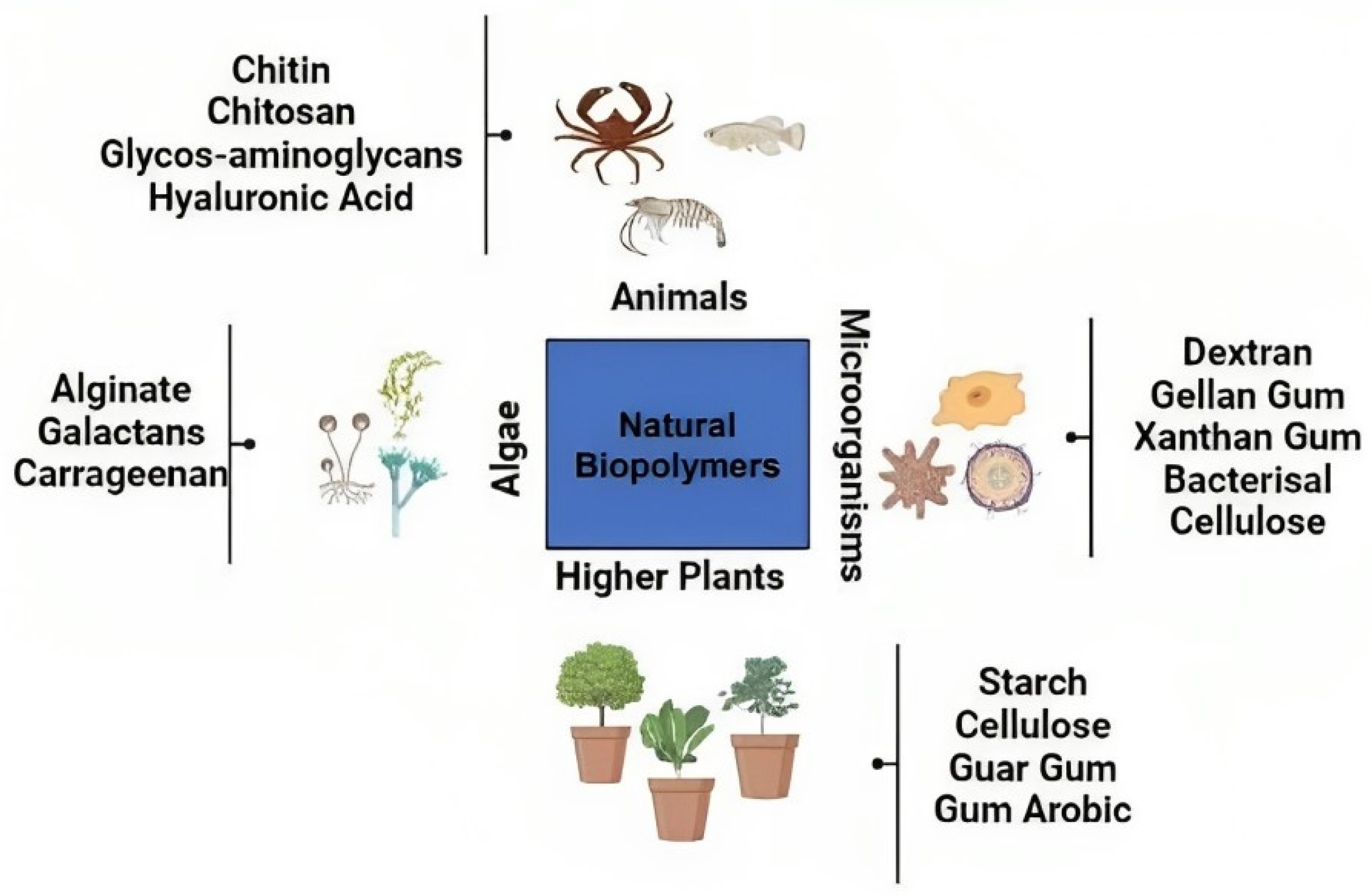 Polymers 15 04563 g006