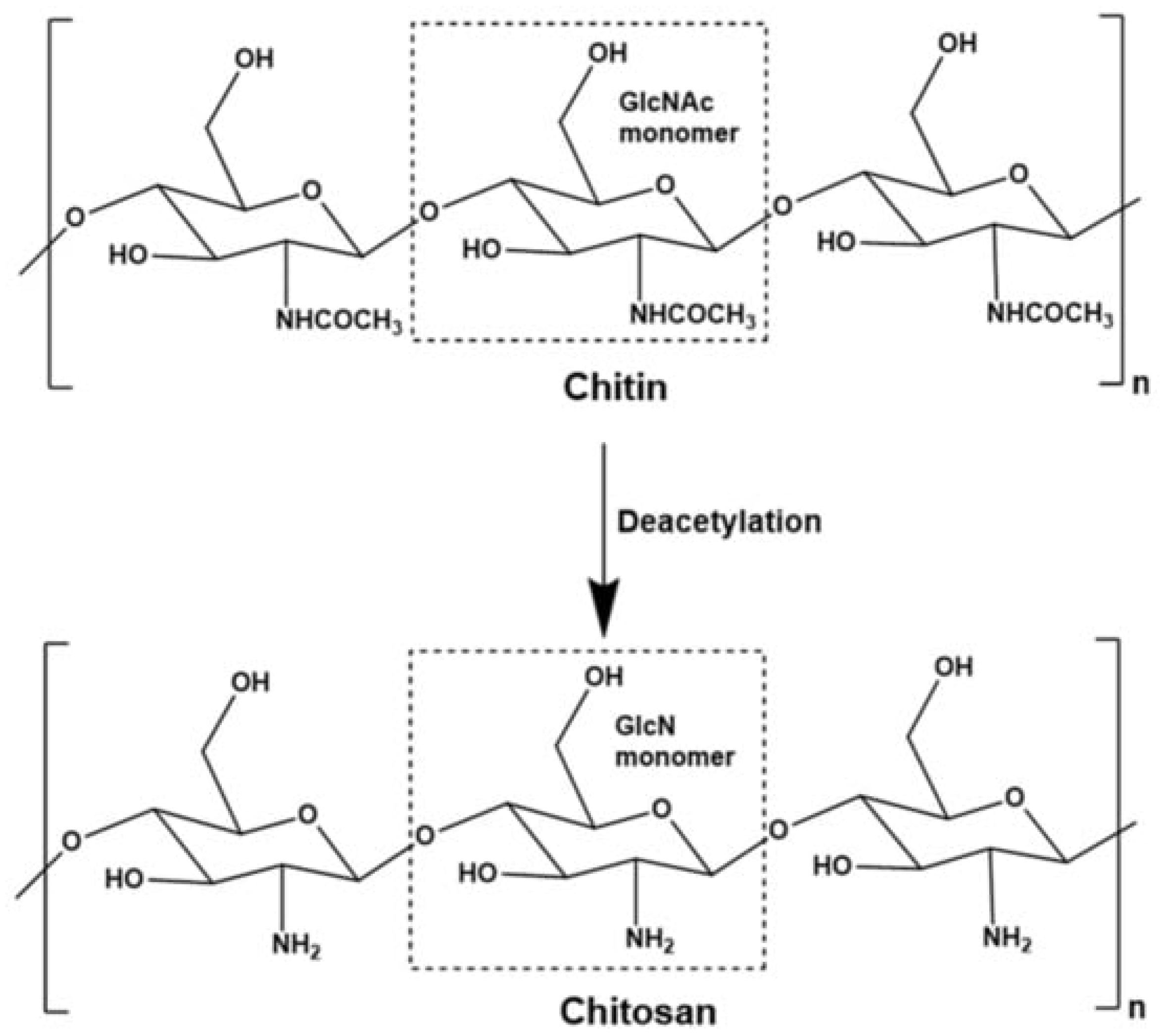 Polymers 15 04563 g007