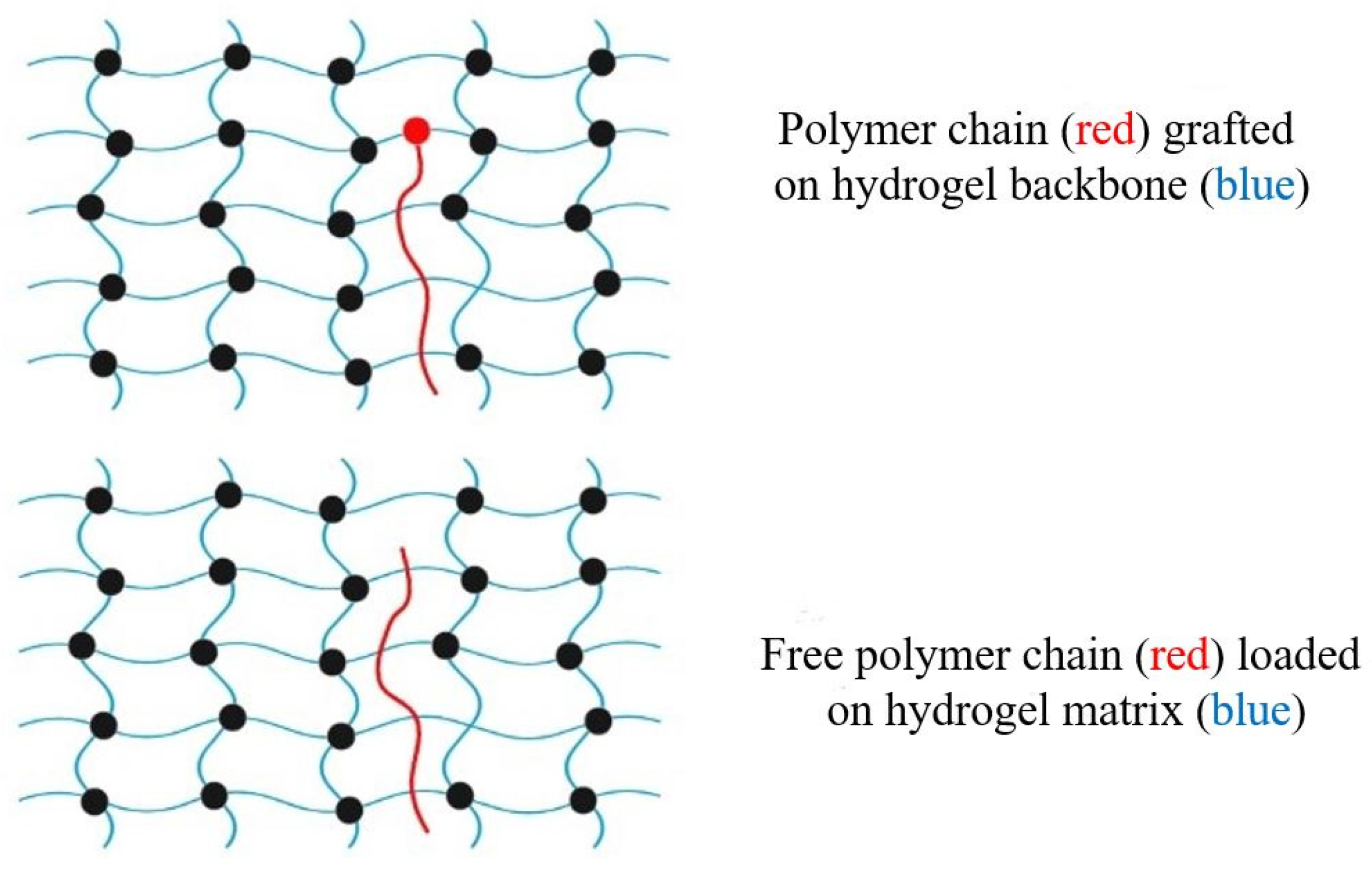 Polymers 15 04563 g008