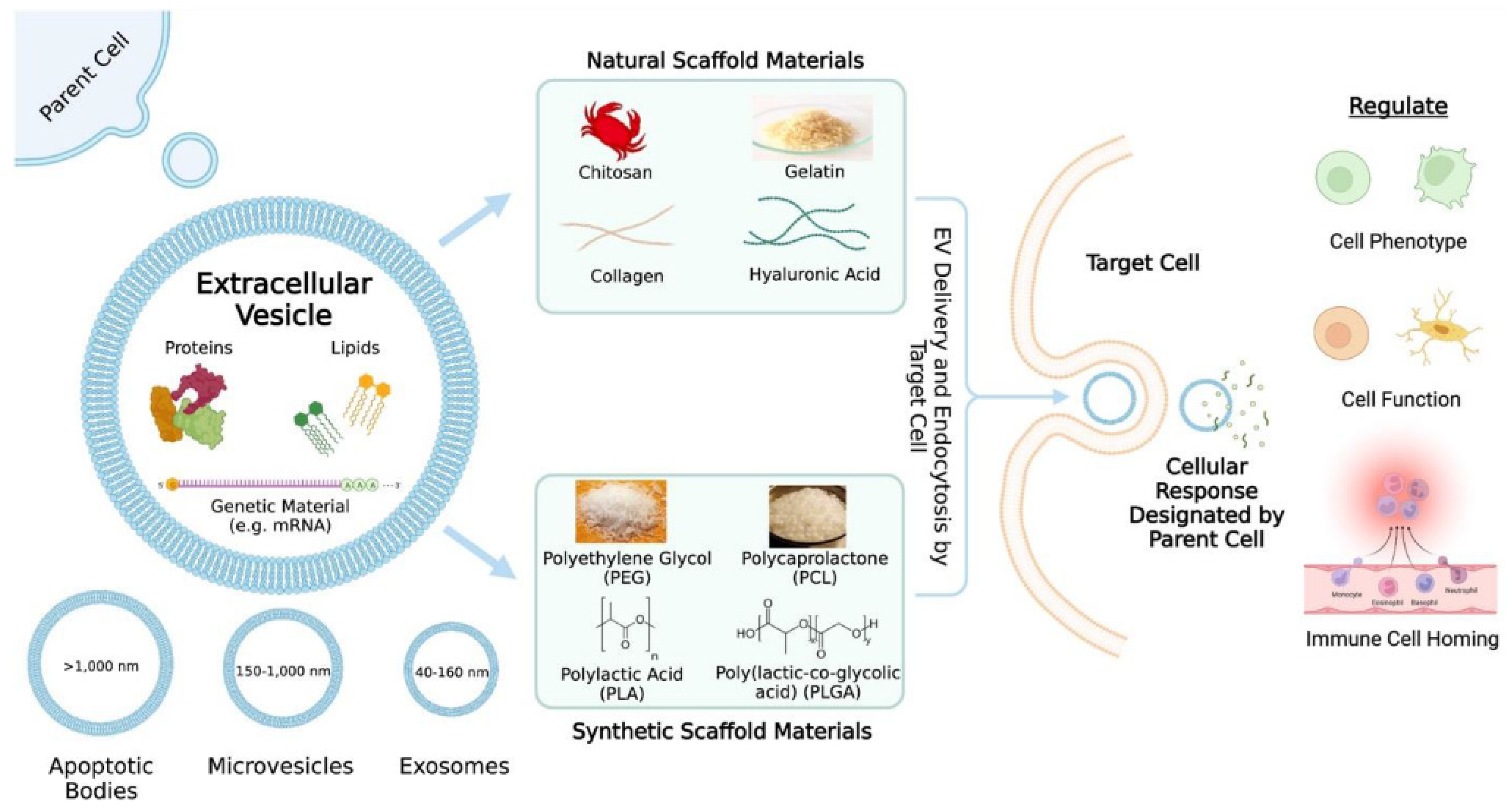 Polymers 15 04563 g011